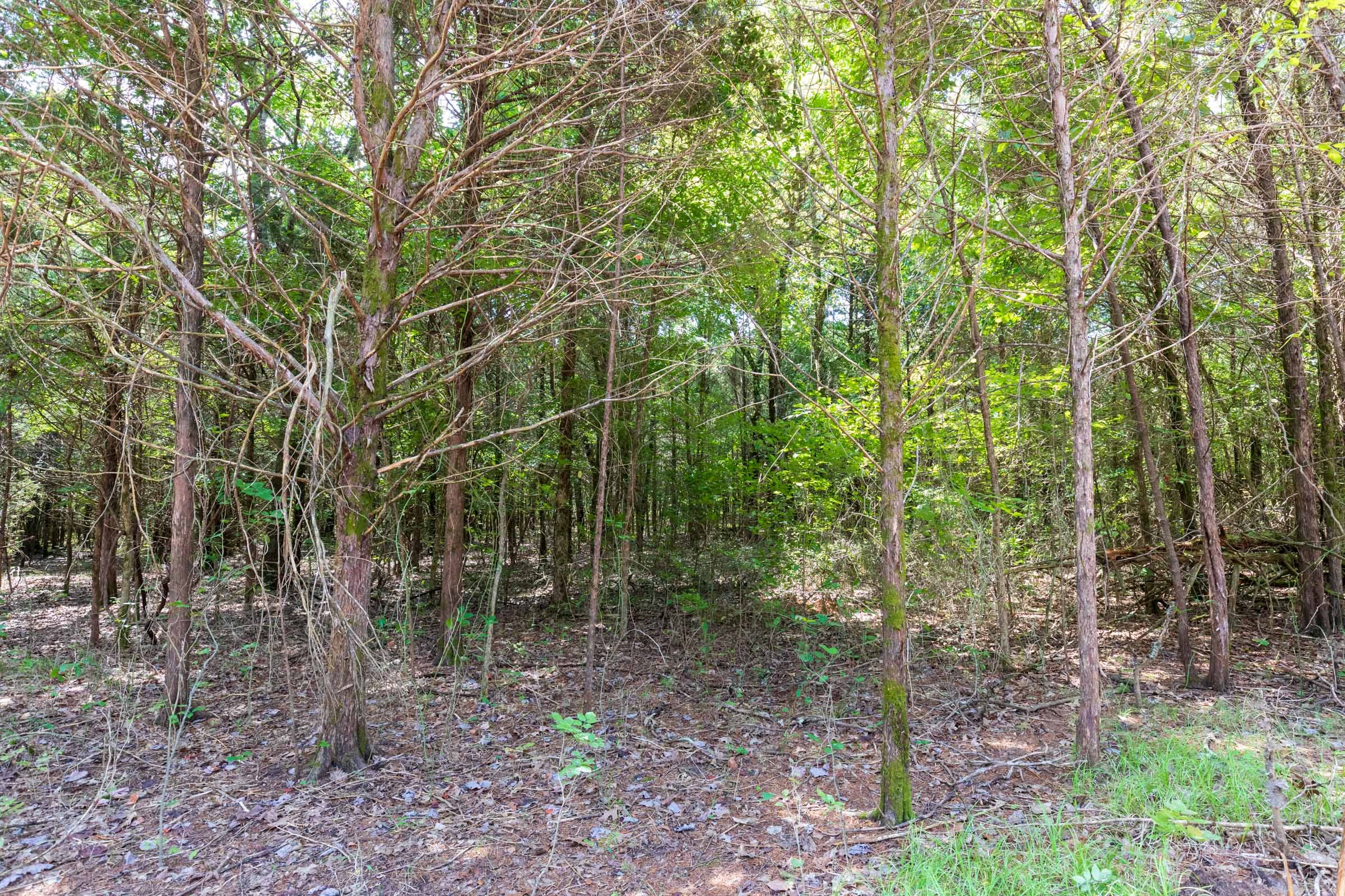 Heritage Bend Tract 31 photo 22