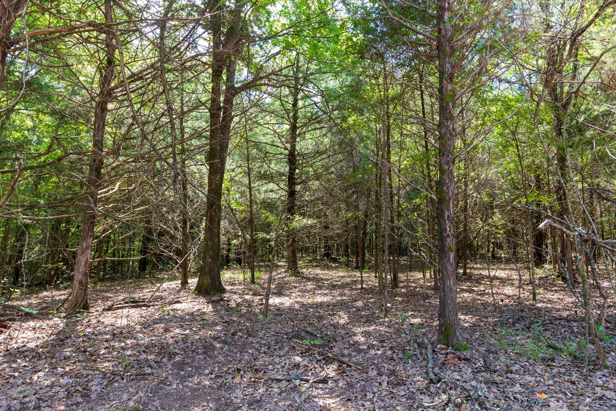 Heritage Bend Tract 31 photo 23