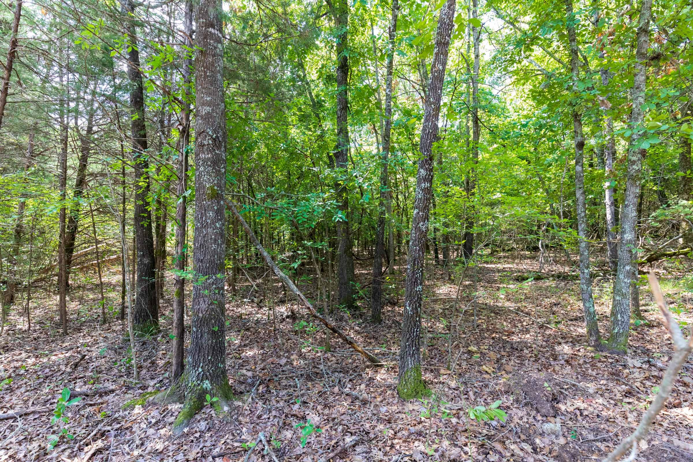 Heritage Bend Tract 31 photo 25