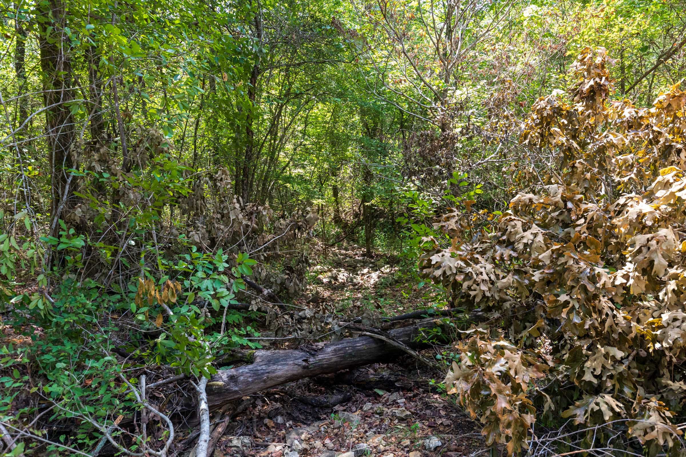 Heritage Bend Tract 31 photo 29