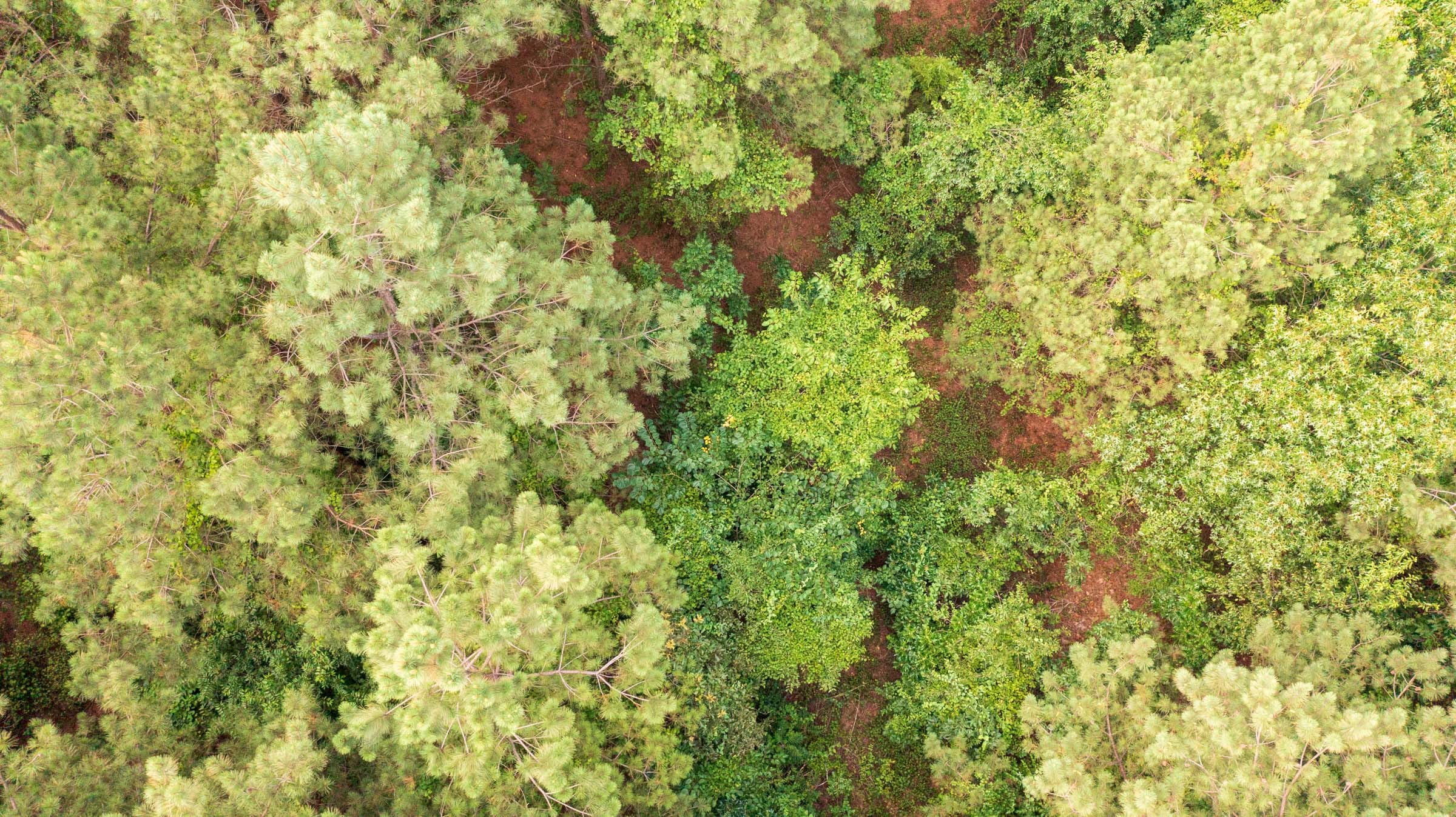 Whiskey Ridge Tract 46 photo 7