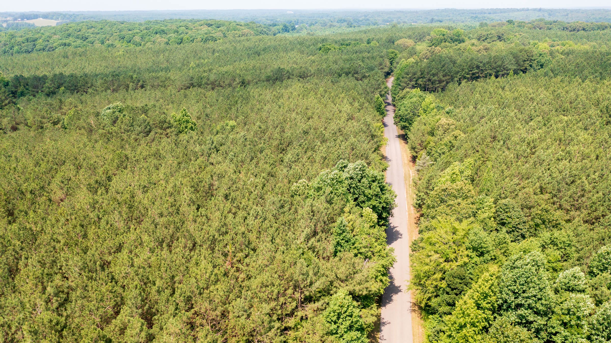 Whiskey Ridge Tract 46 photo 3