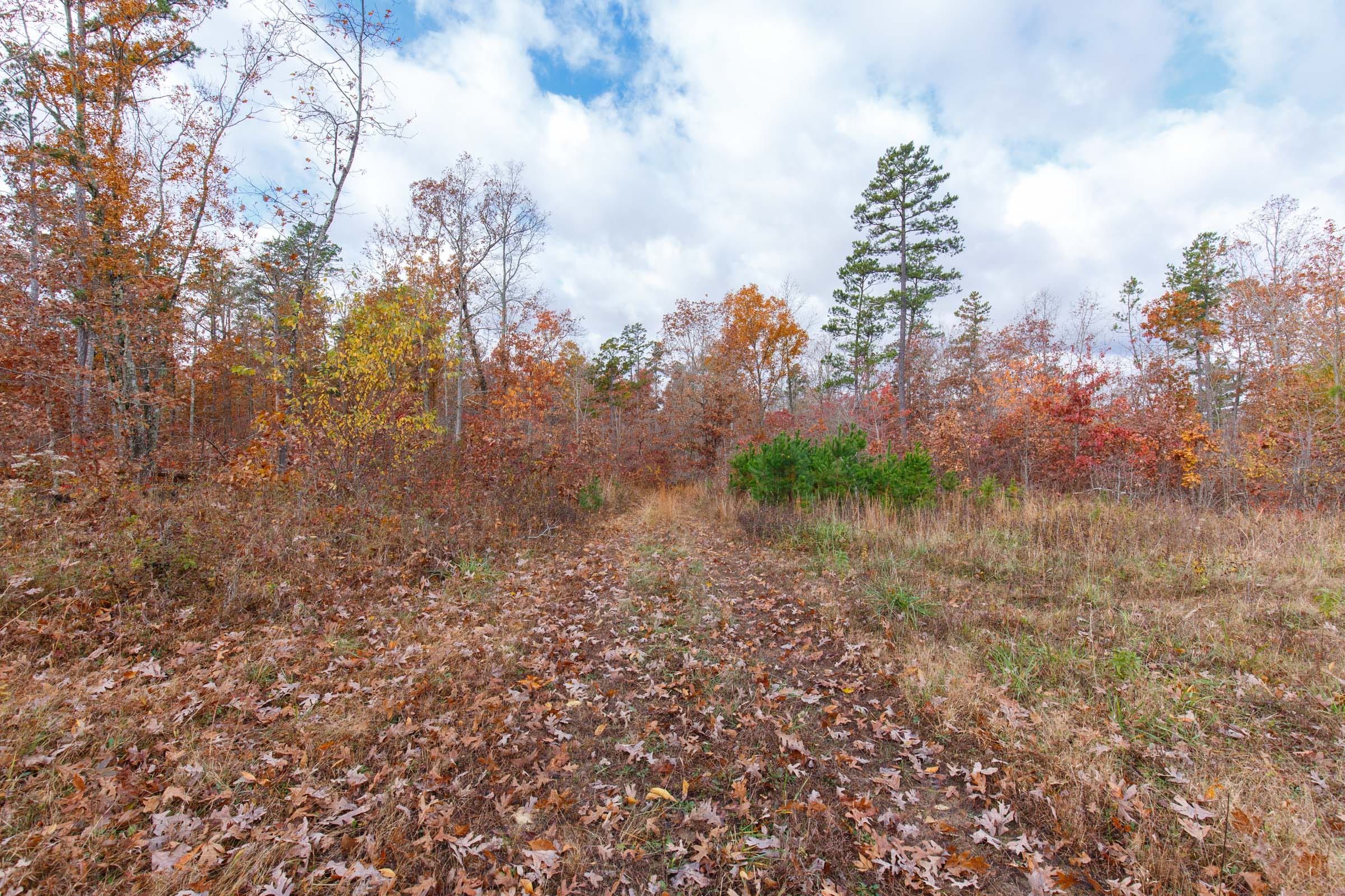 Hawkcrest Tract 37 photo 5