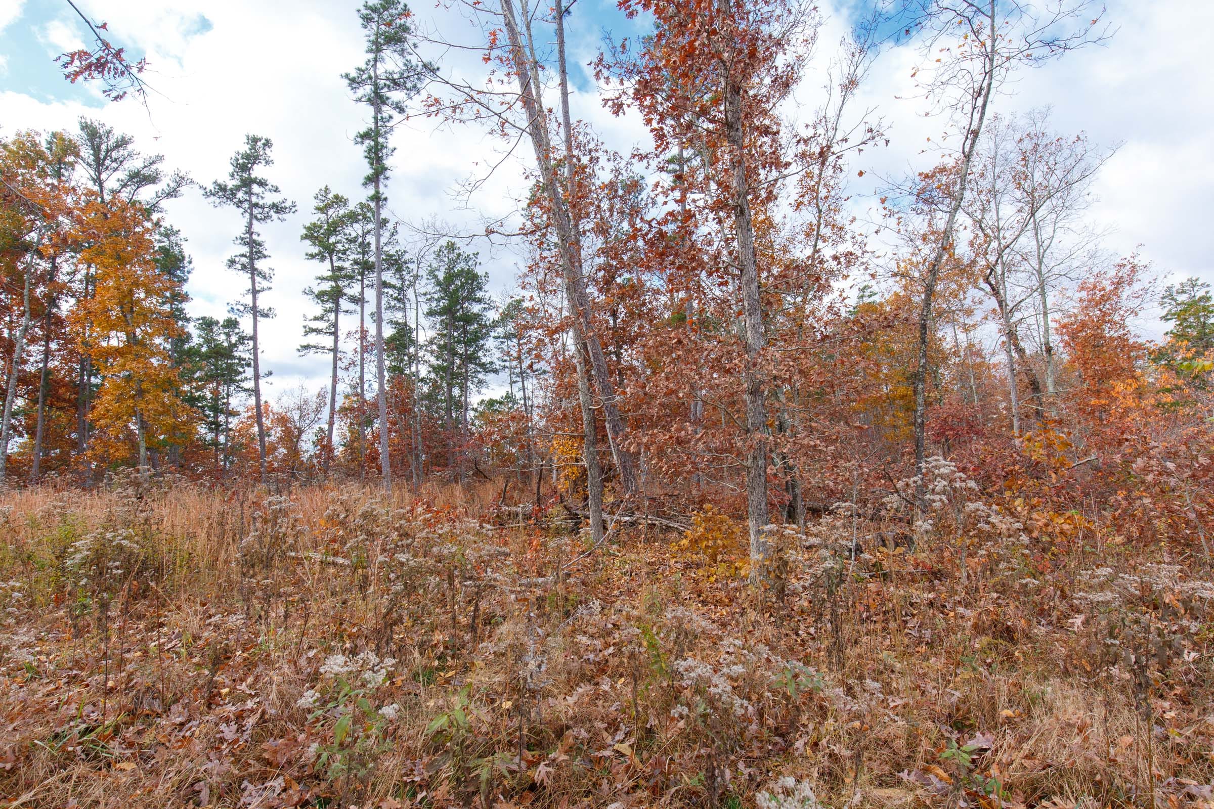 Hawkcrest Tract 37 photo 2