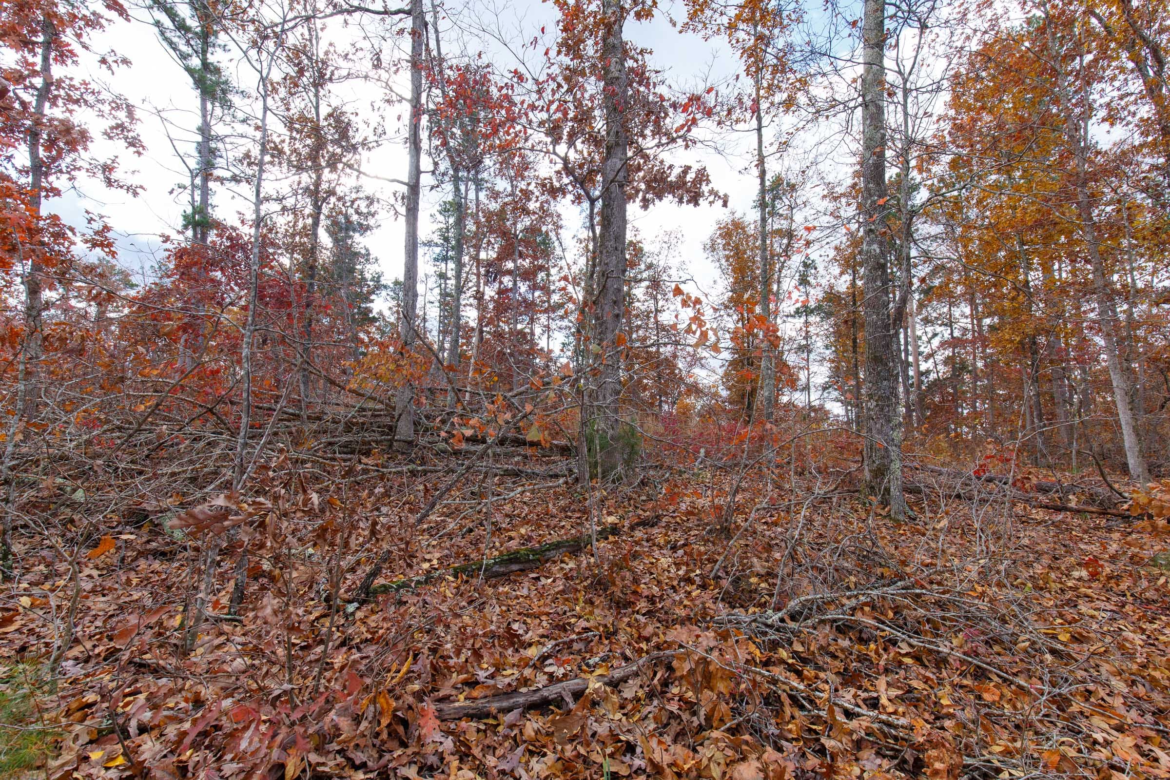 Hawkcrest Tract 37 photo 3