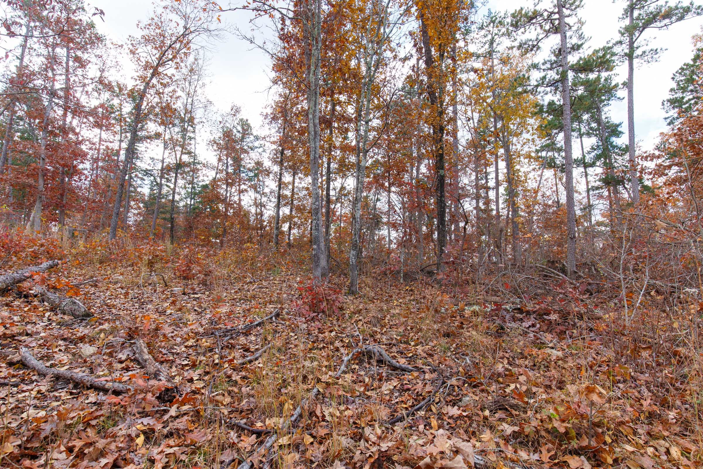 Hawkcrest Tract 37 photo 4