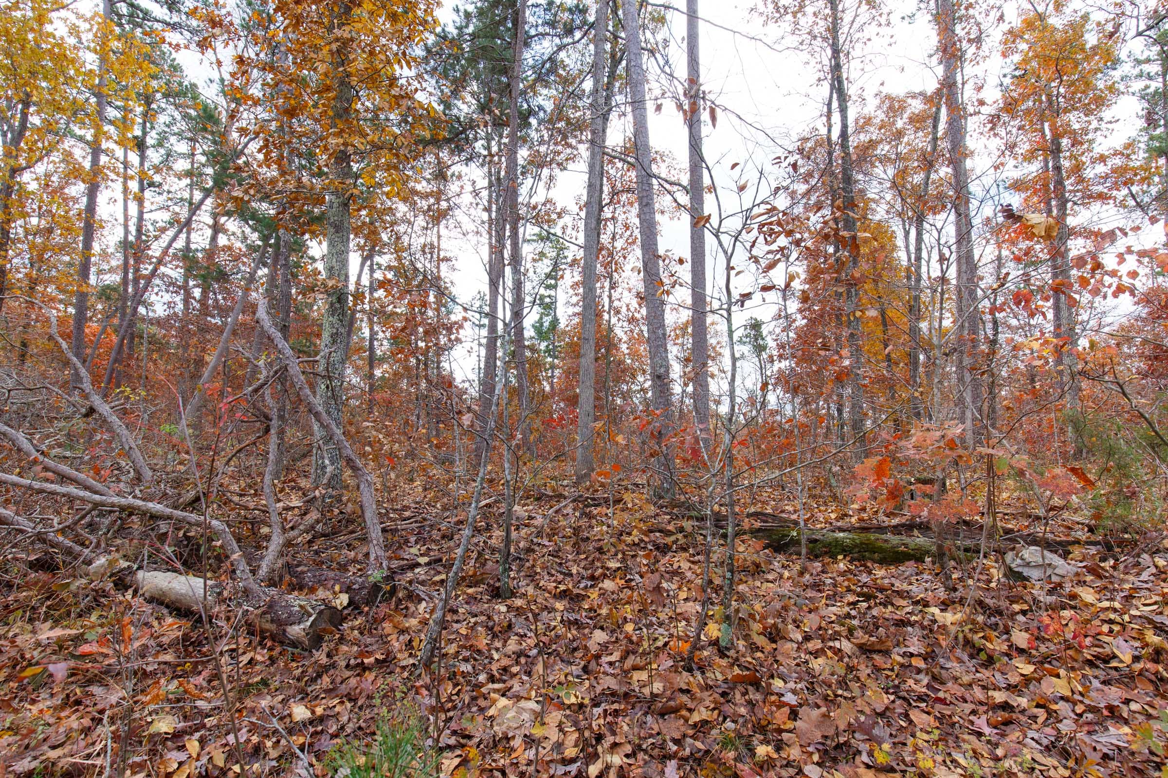 Hawkcrest Tract 37 photo 6