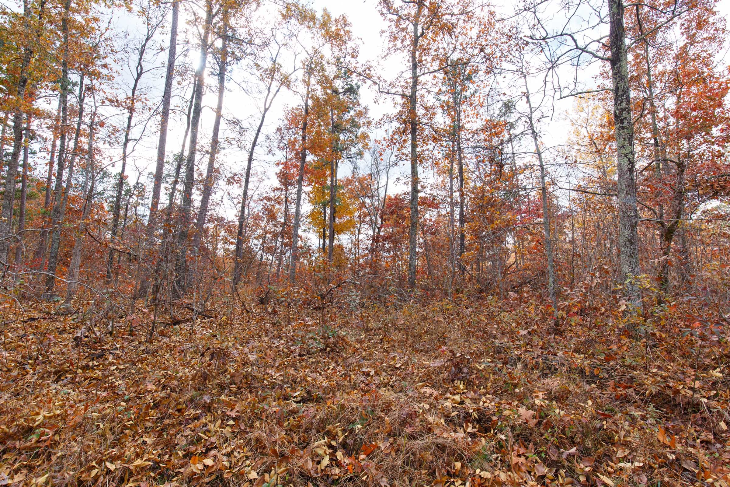 Hawkcrest Tract 37 photo 8