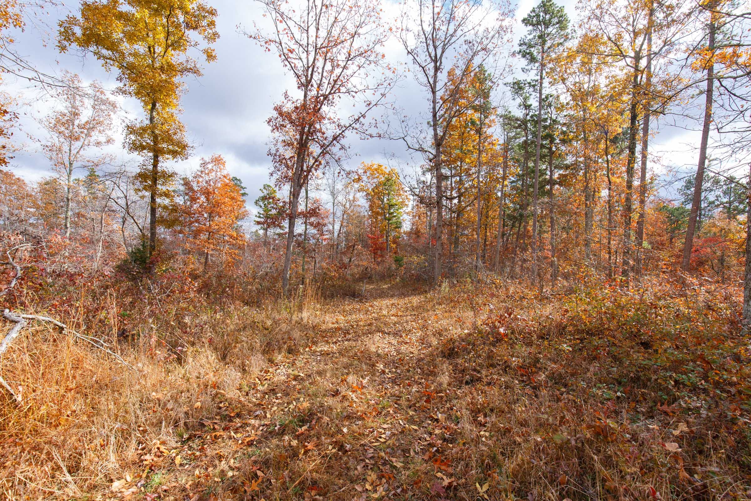 Hawkcrest Tract 37 photo 1