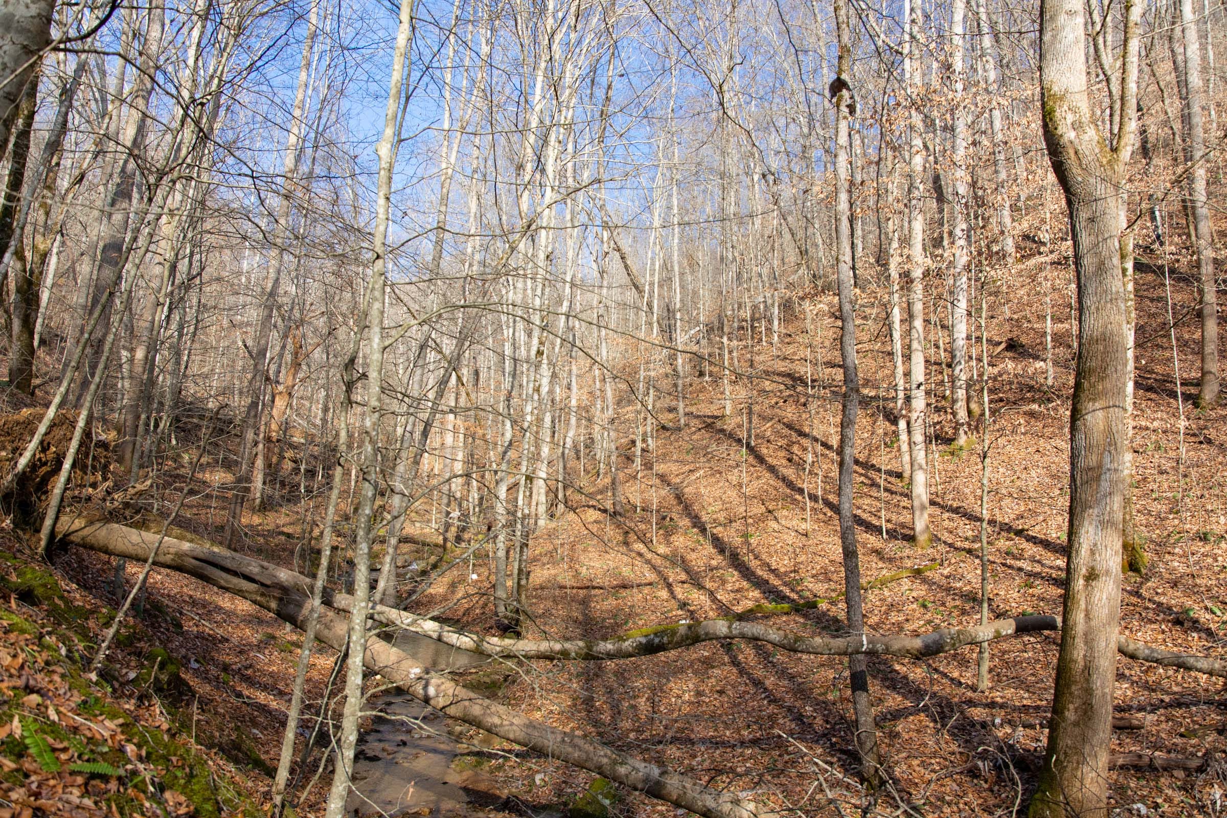 Blackstone Mountain Phase I Tract 51 photo 3