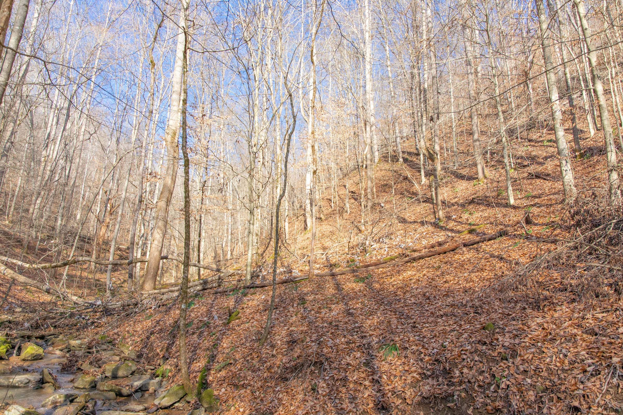 Blackstone Mountain Phase I Tract 51 photo 6