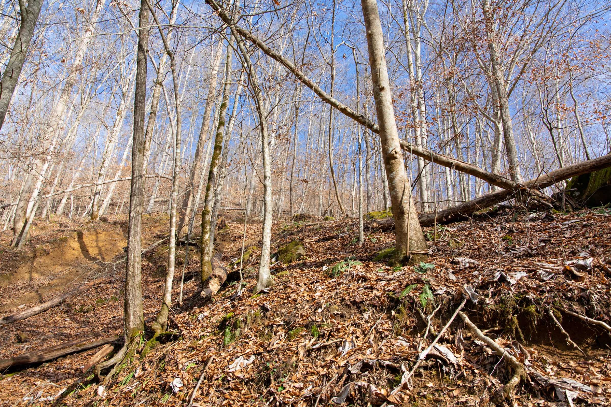 Blackstone Mountain Phase I Tract 51 photo 9
