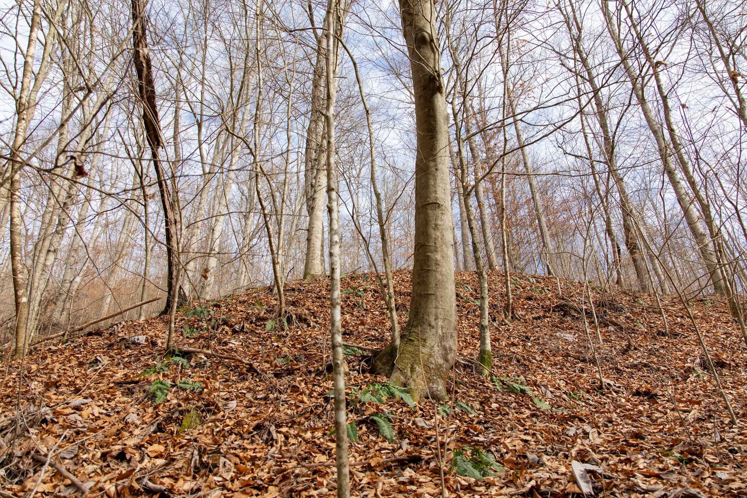 Blackstone Mountain Phase I Tract 51 photo 15