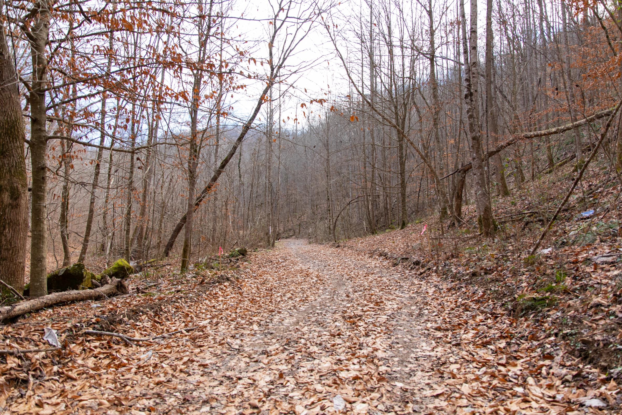 Blackstone Mountain Phase I Tract 51 photo 17