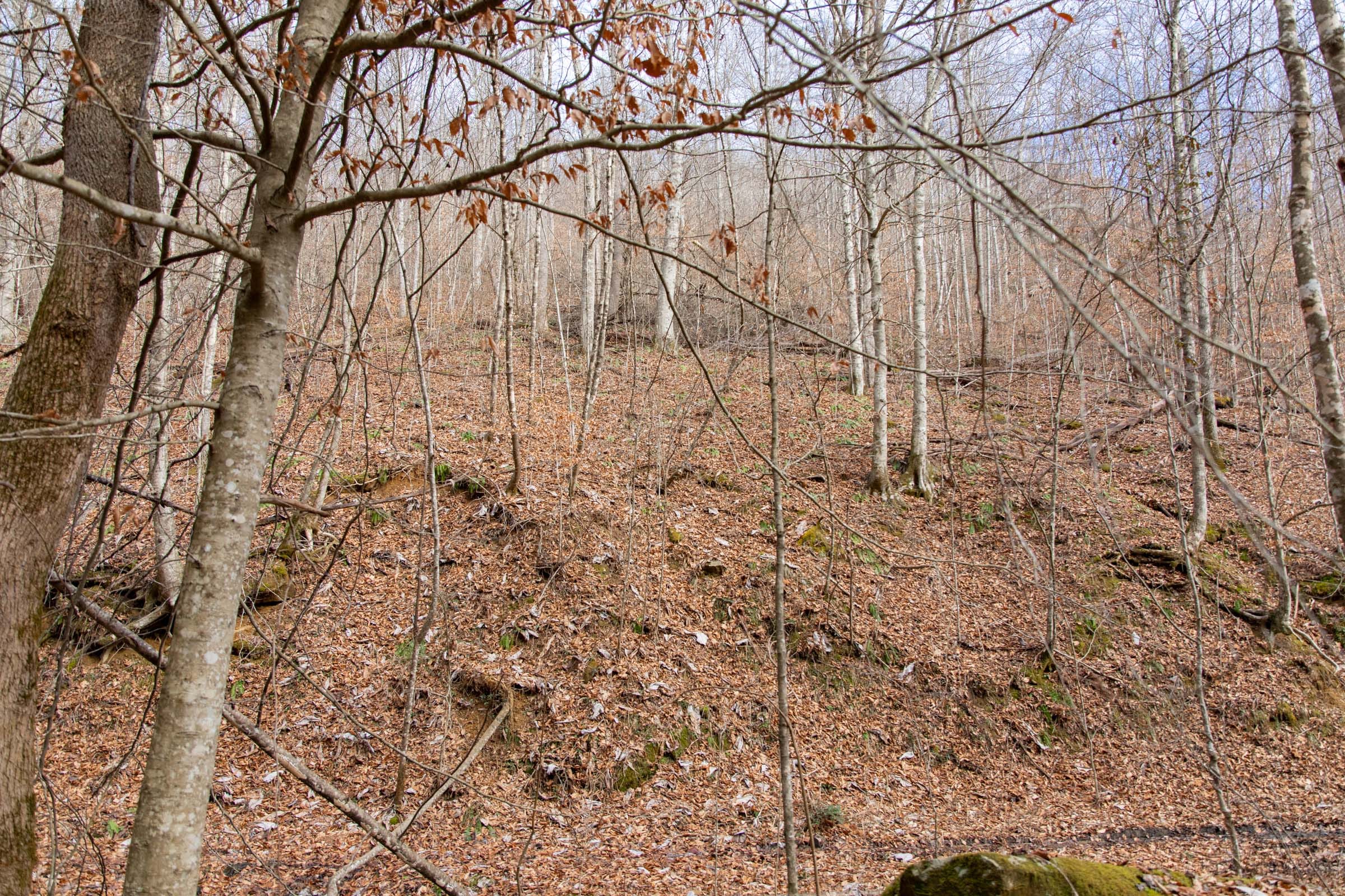 Blackstone Mountain Phase I Tract 51 photo 18