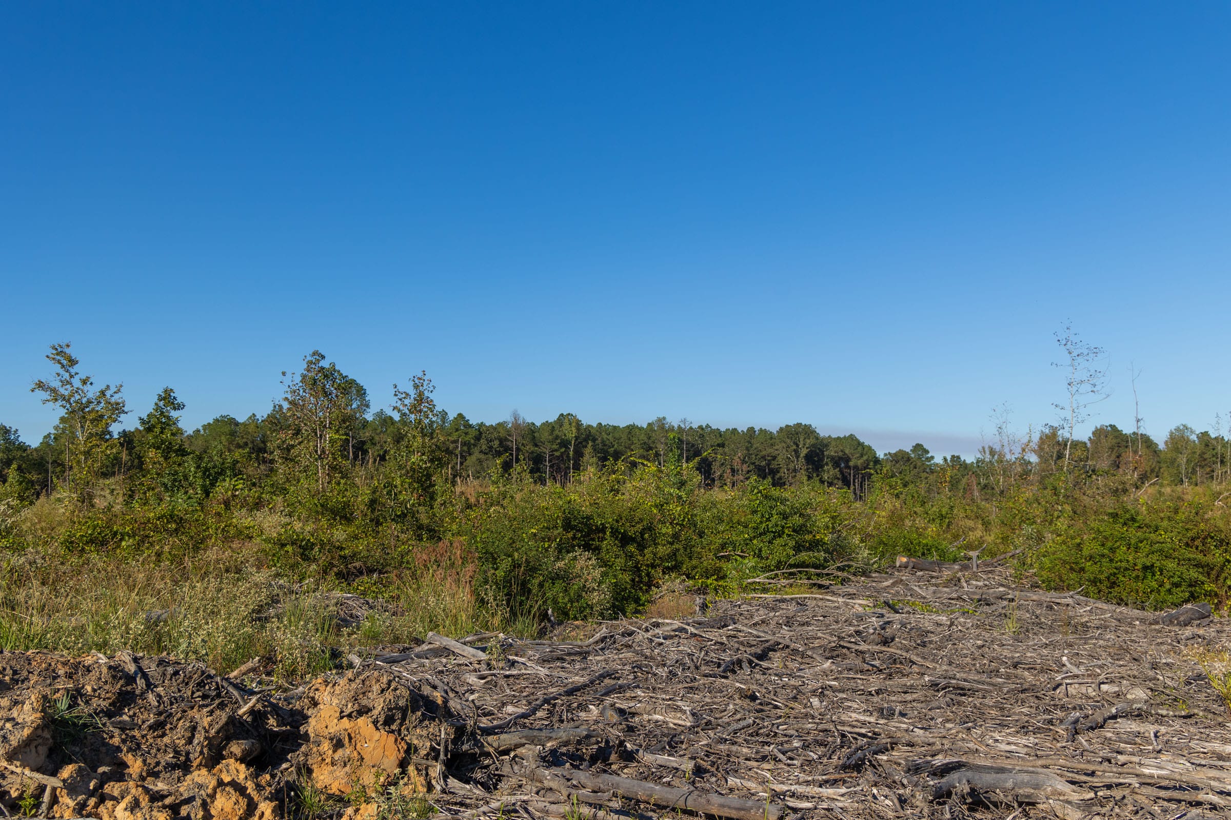 Meyer’s Ridge Tract 12 photo 9