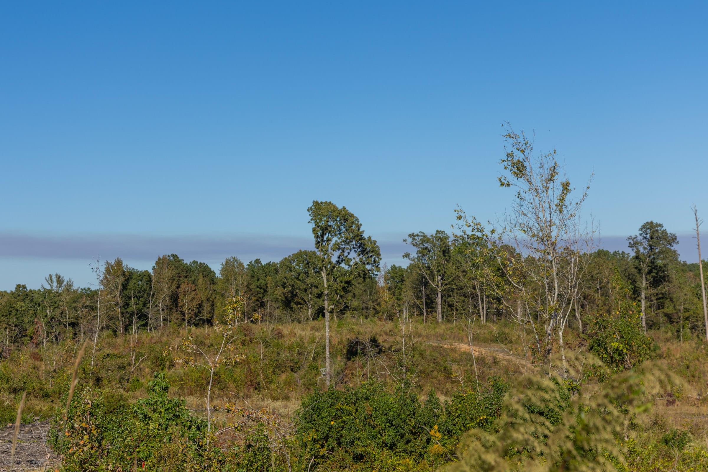 Meyer’s Ridge Tract 12 photo 8