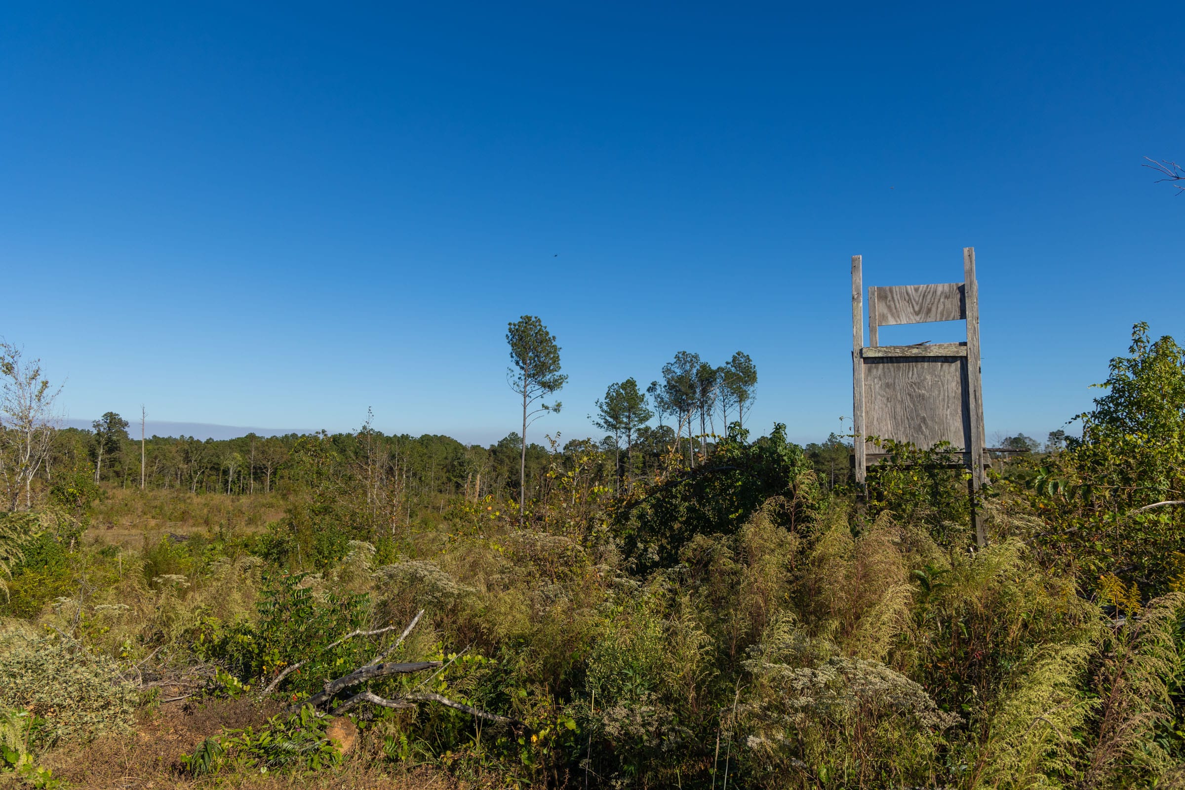 Meyer’s Ridge Tract 12 photo 5