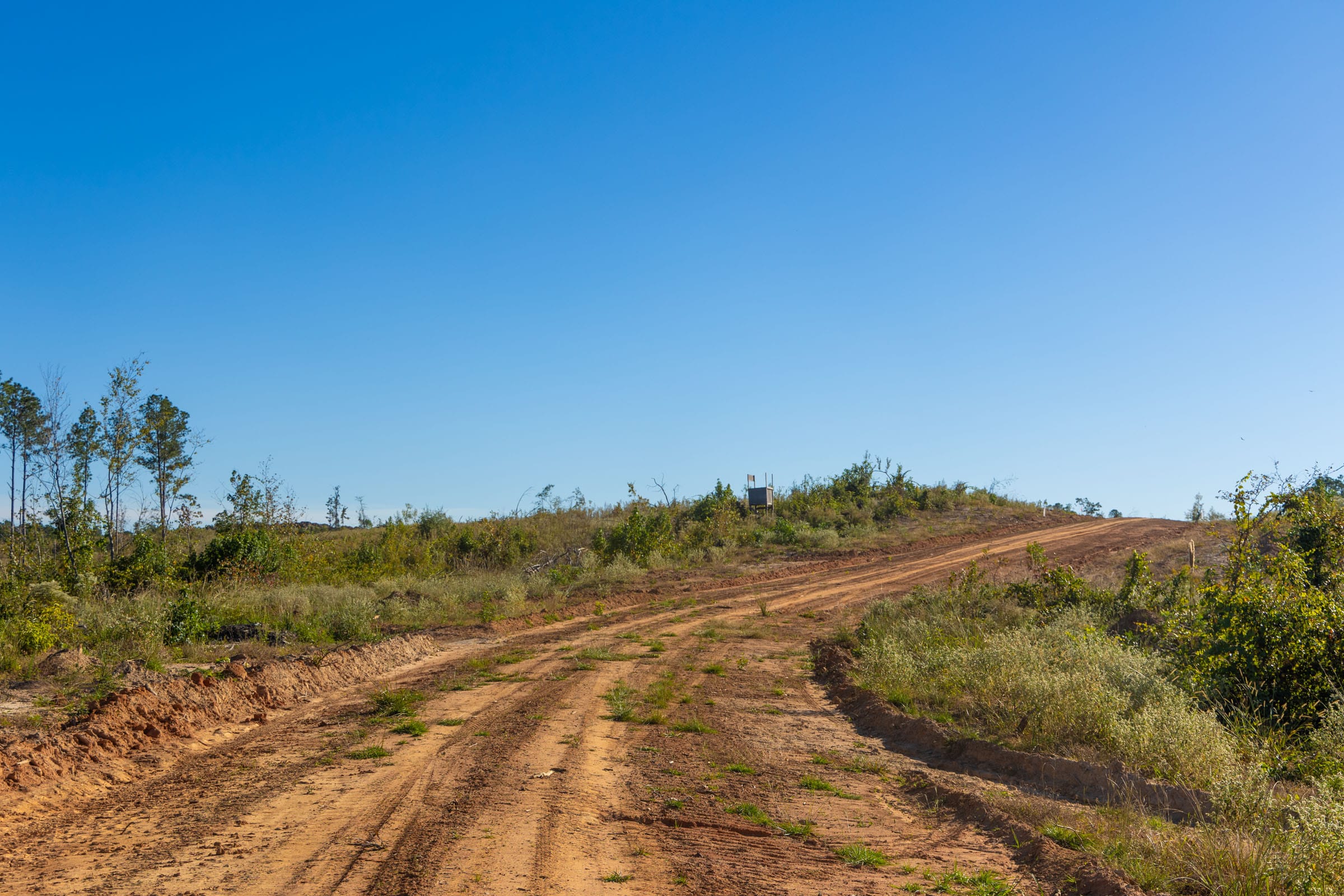 Meyer’s Ridge Tract 12 photo 7