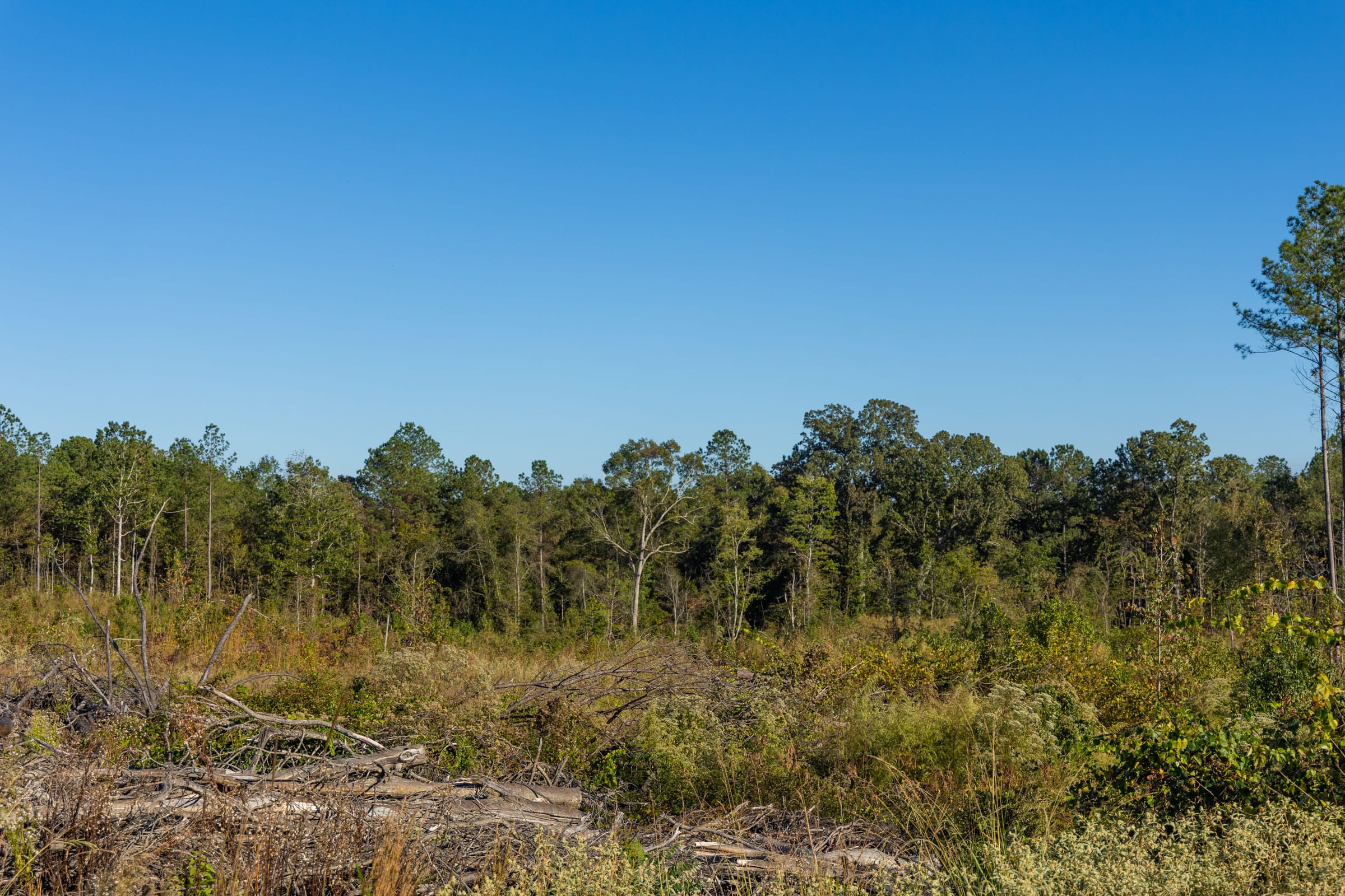 Meyer’s Ridge Tract 12 photo 11