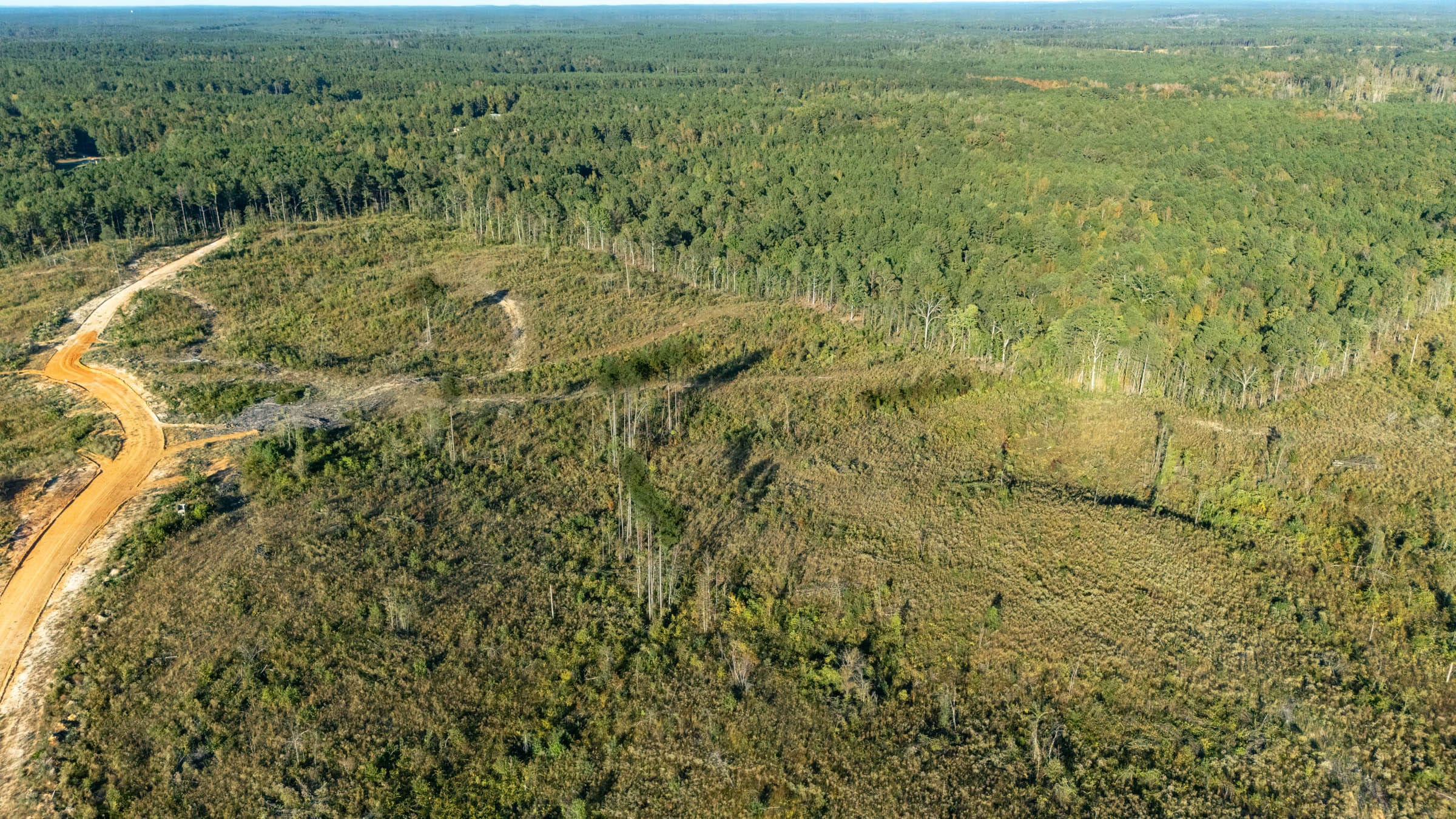 Meyer’s Ridge Tract 12 photo 2