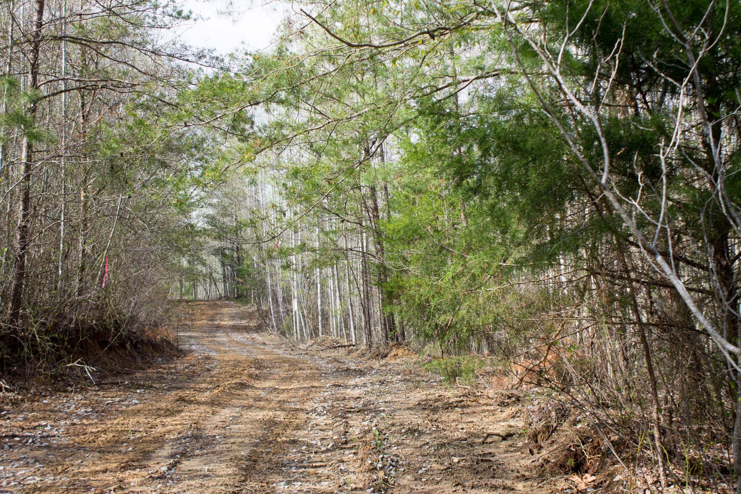 Hidden Hills Tract 31 photo 1