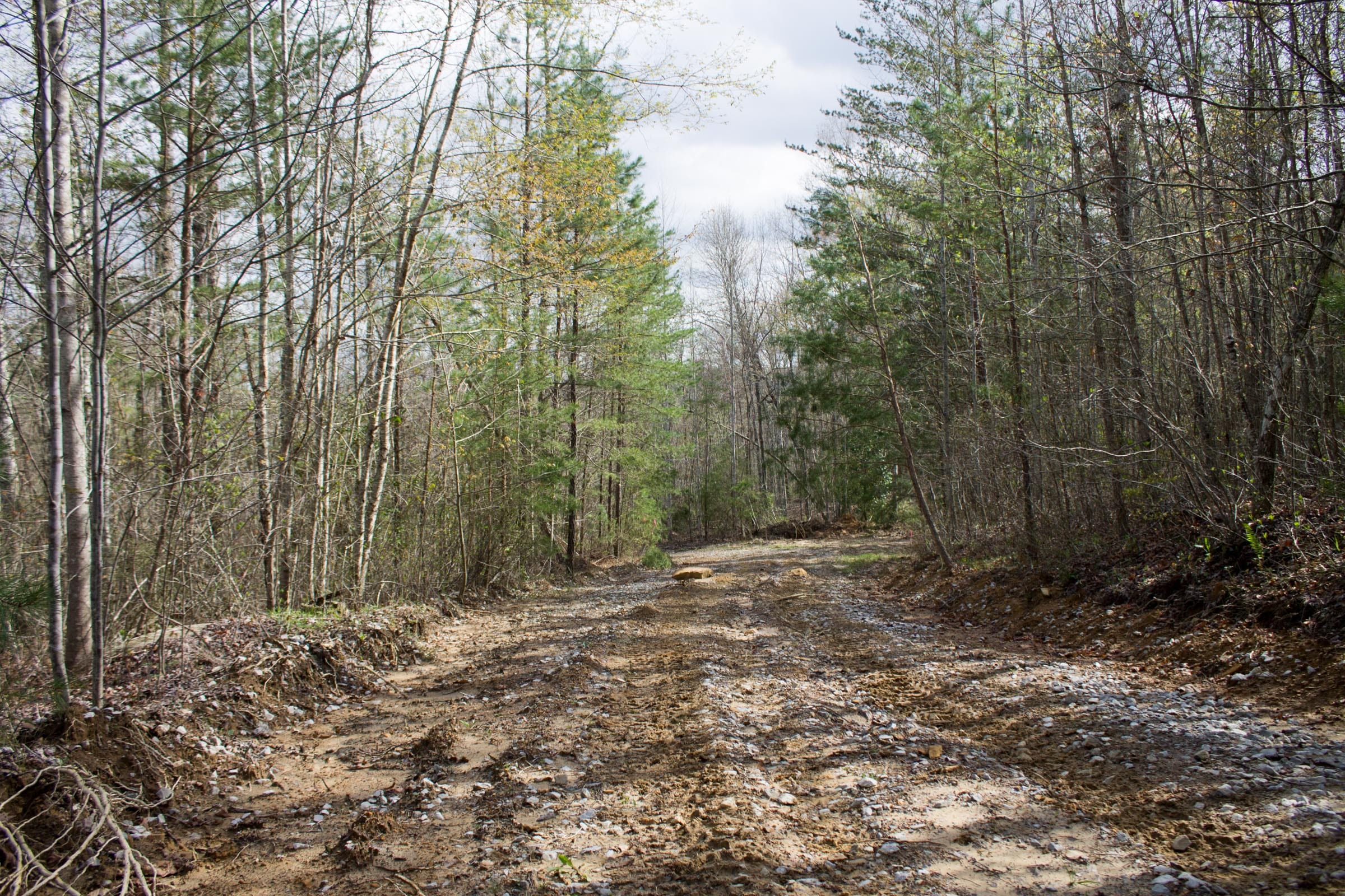 Hidden Hills Tract 31 photo 2