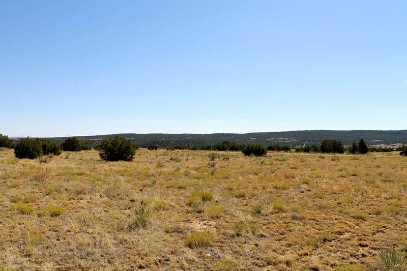 Black Diamond Park Tract 15 photo 7