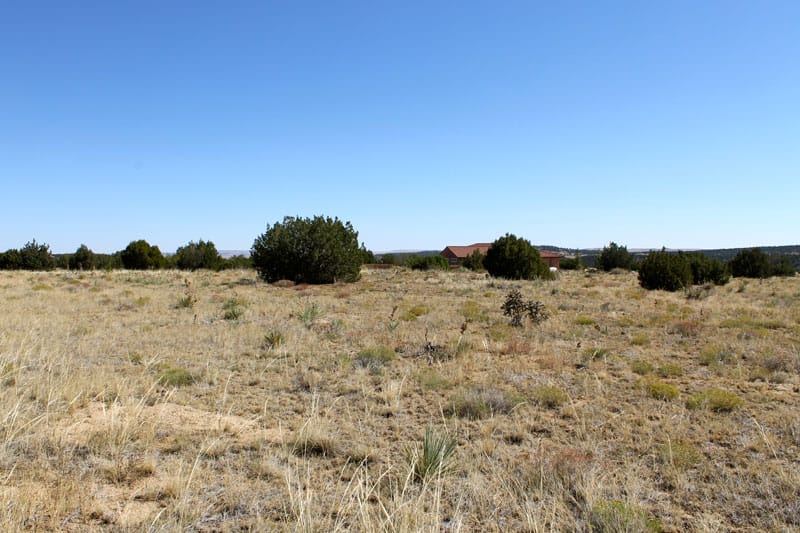 Black Diamond Park Tract 15 photo 9