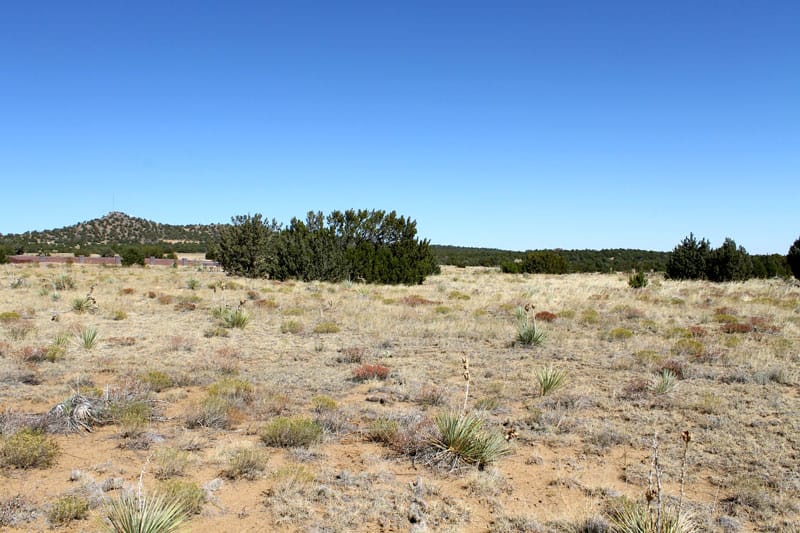 Black Diamond Park Tract 15 photo 11