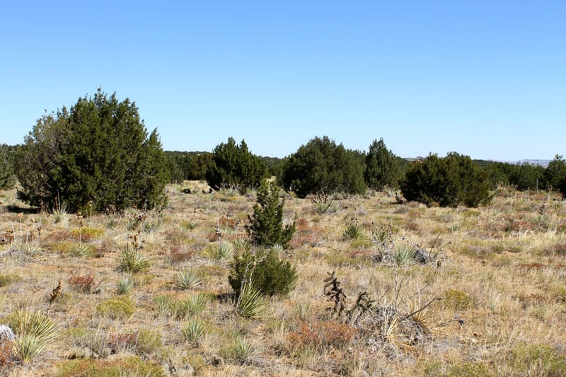 Black Diamond Park Tract 15 photo 14