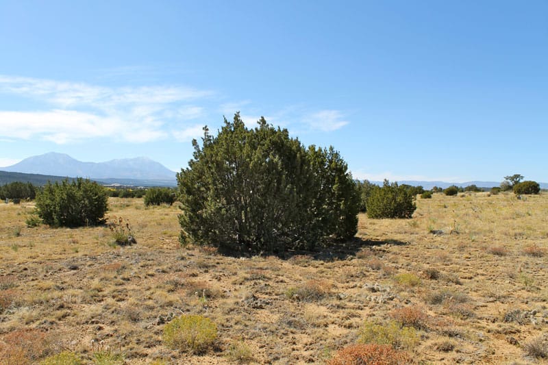 Black Diamond Park Tract 15 photo 15