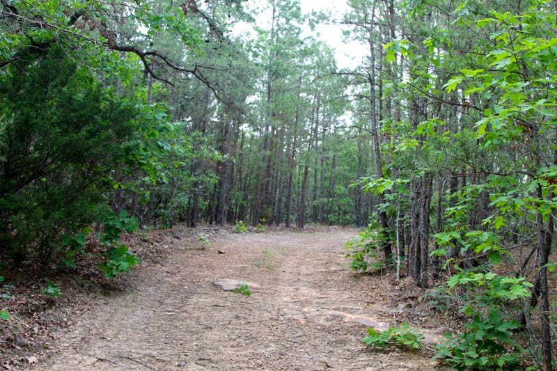 Trophy Ridge Phase II Tract 58 photo 1