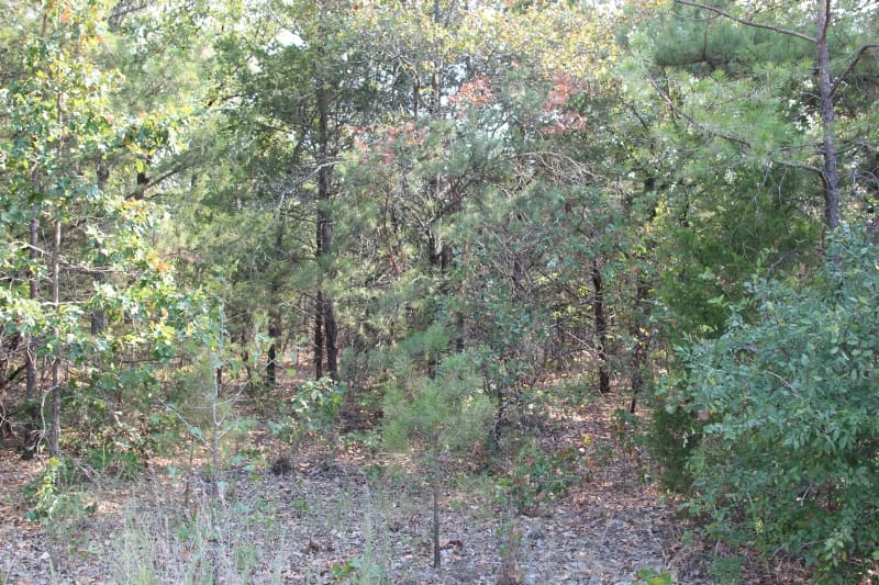 Lake View Ranch Tract 12 photo 1