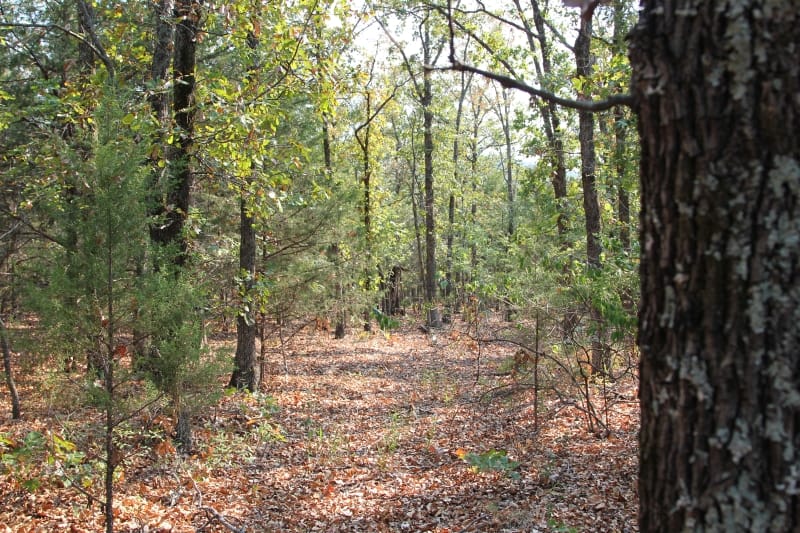 Lake View Ranch Tract 12 photo 2
