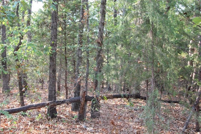 Lake View Ranch Tract 12 photo 4