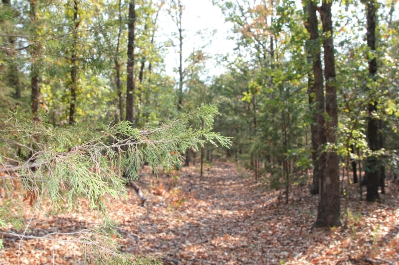 Lake View Ranch Tract 12 photo 5