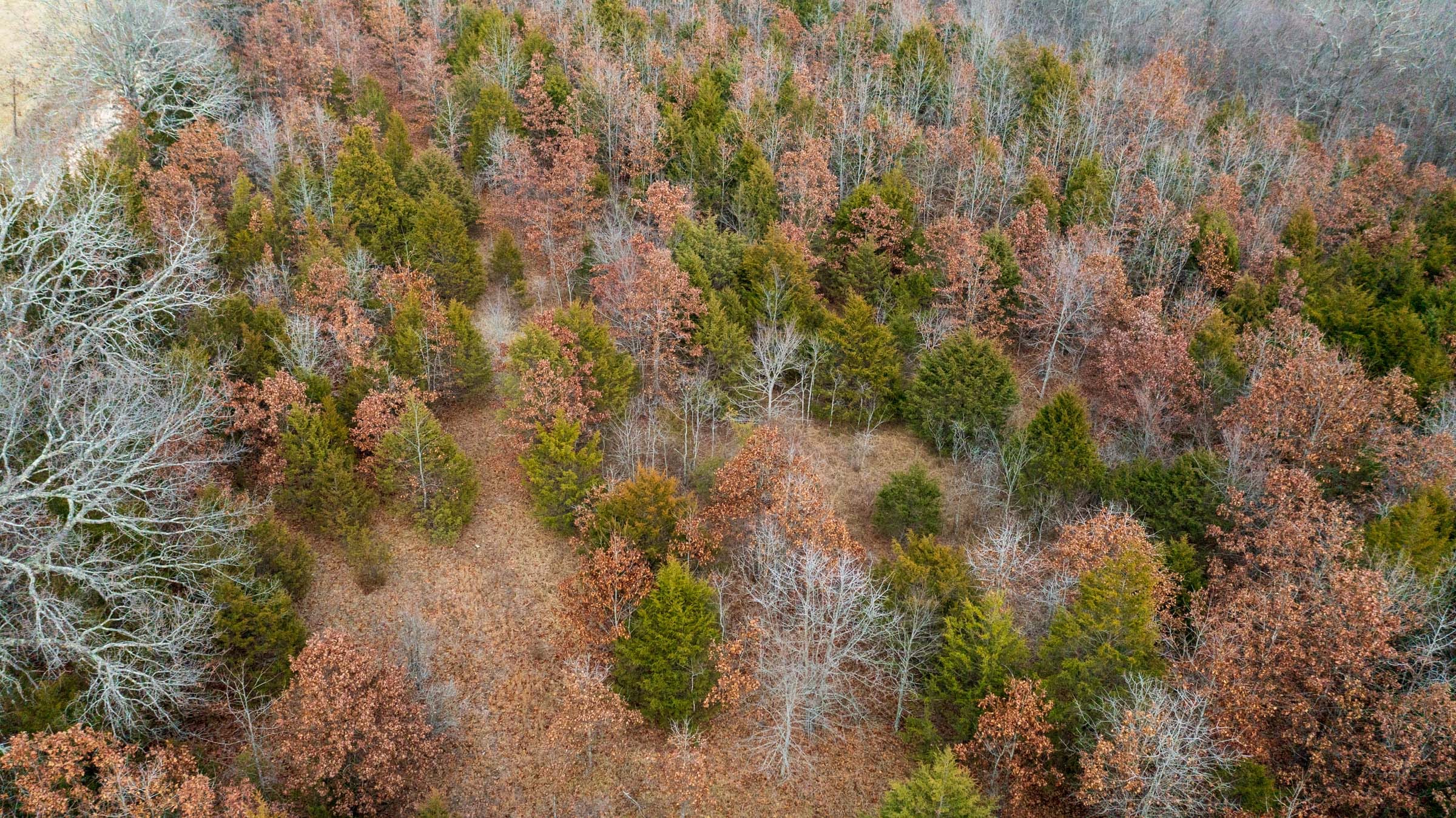 Crossroads Tract 9 photo 3
