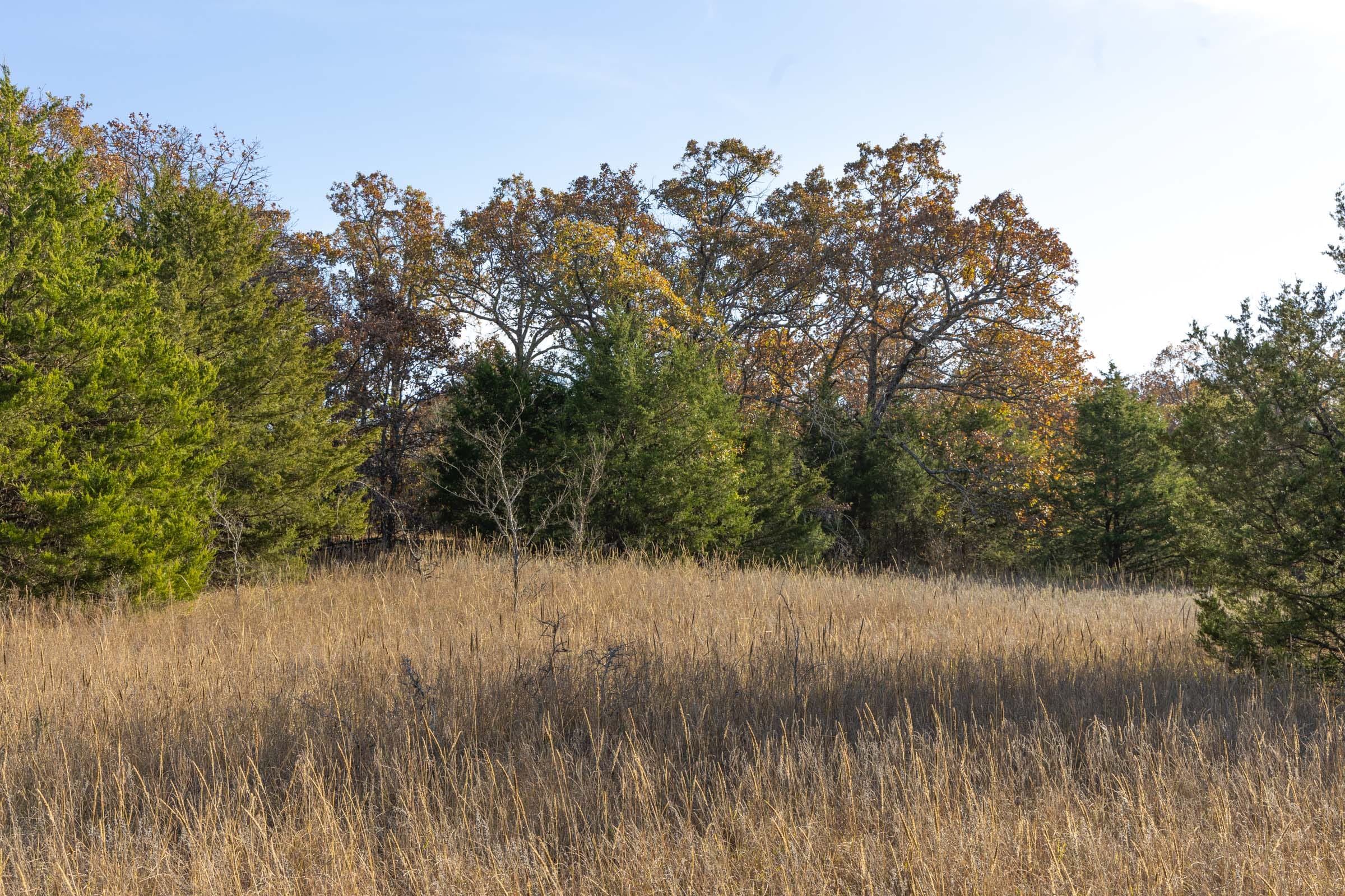 Harmony Hills Tract 53 photo 10
