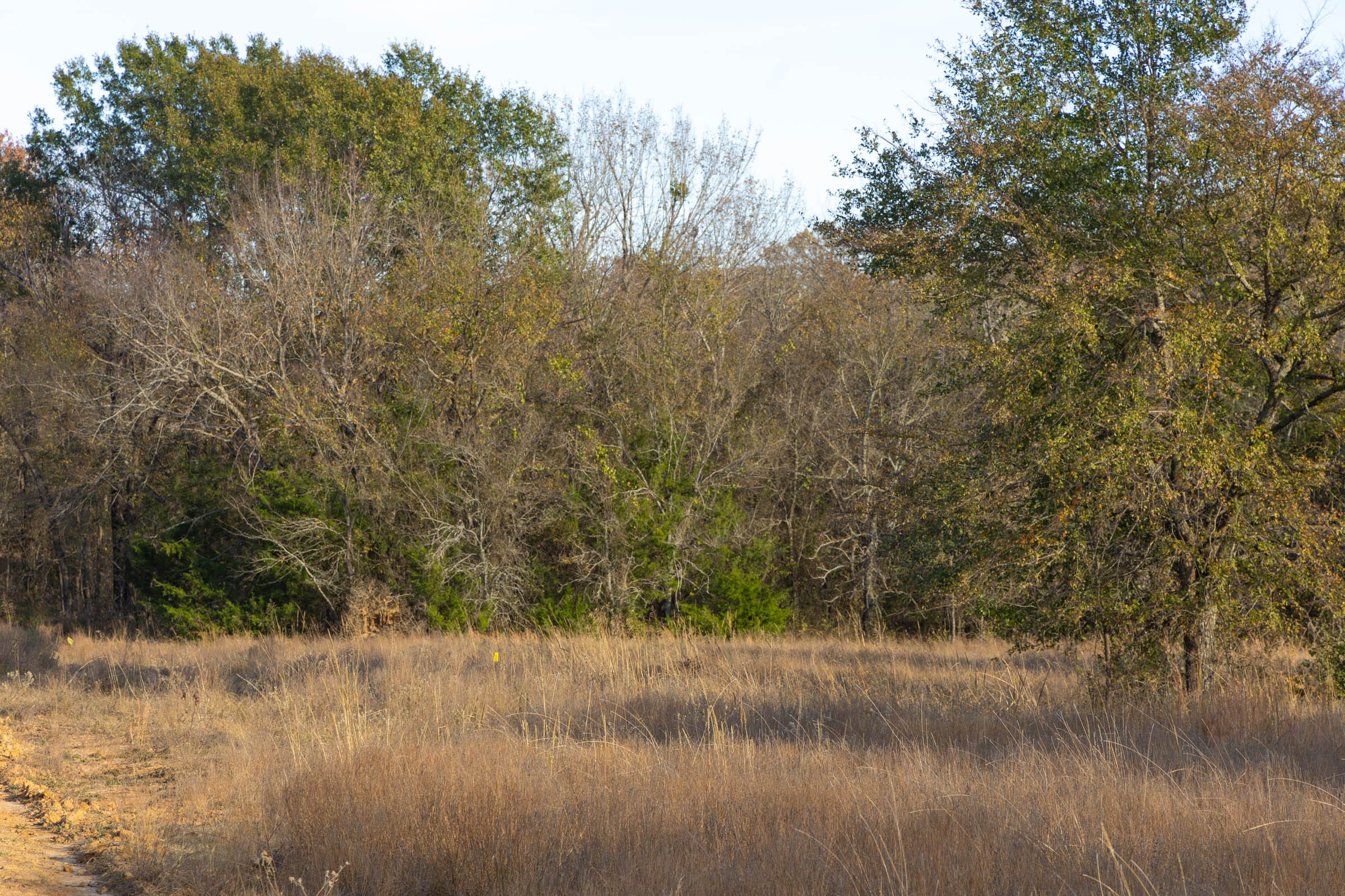 Harmony Hills Tract 53 photo 3