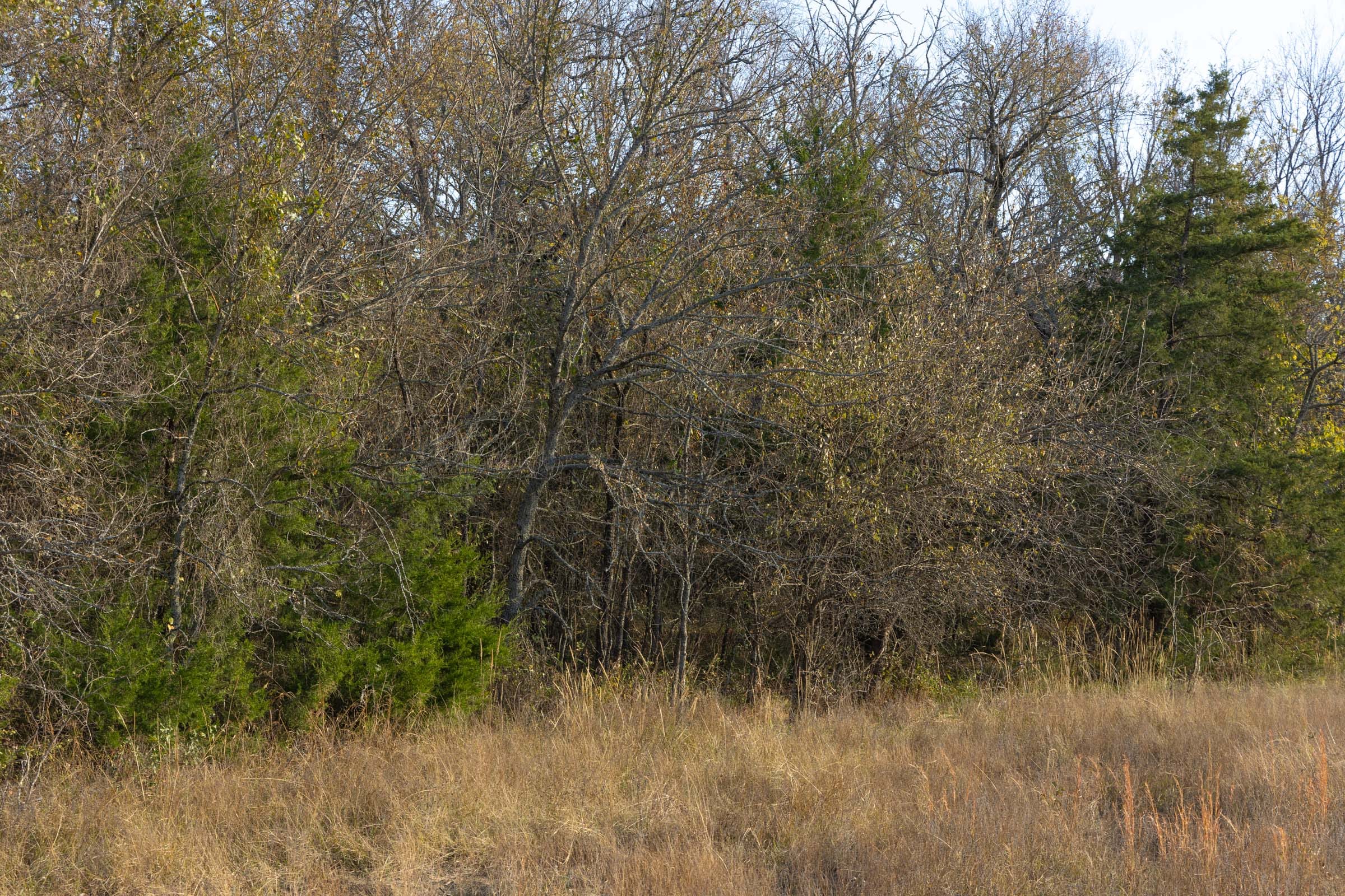 Harmony Hills Tract 53 photo 4