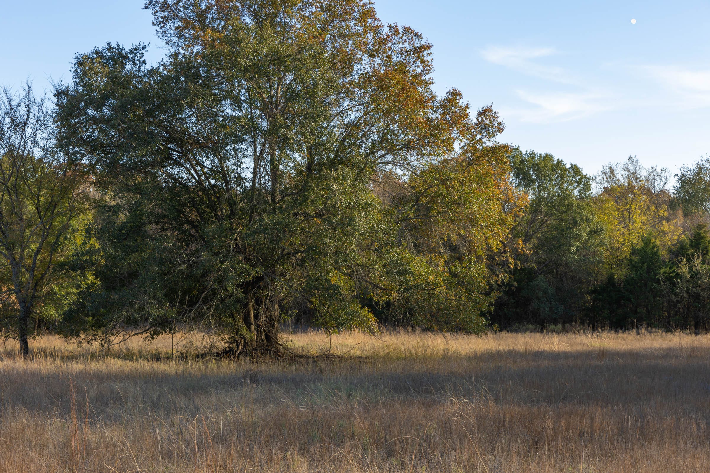 Harmony Hills Tract 53 photo 5