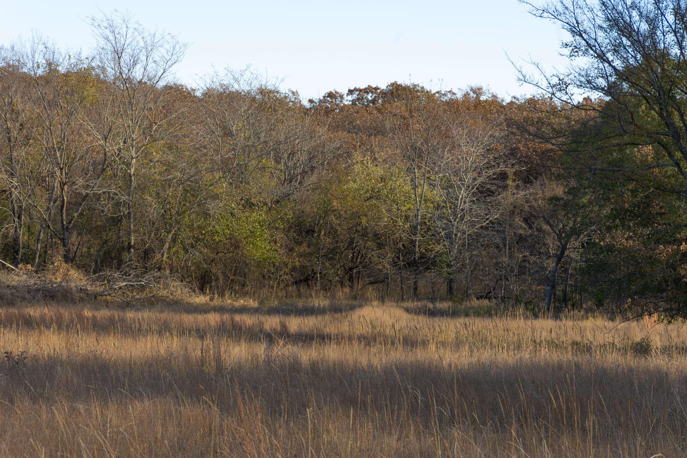 Harmony Hills Tract 53 photo 6