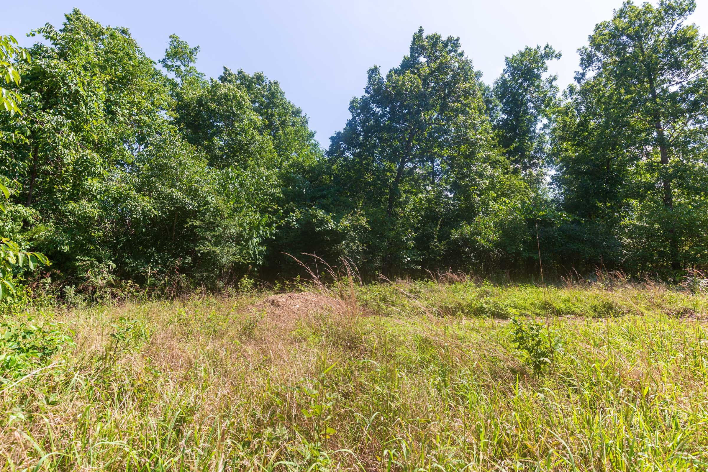Cypress Ridge Tract 32 photo 2