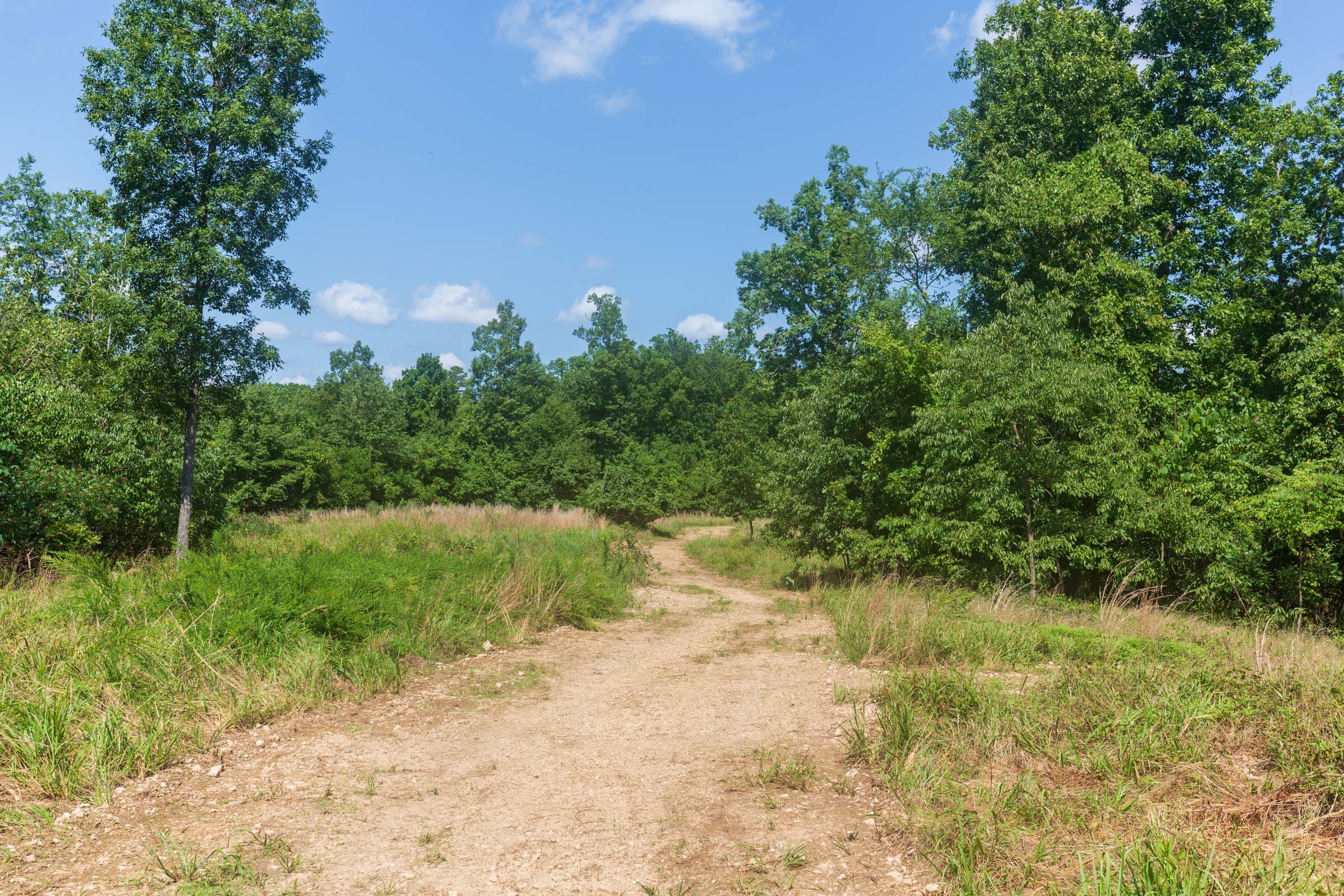 Cypress Ridge Tract 32 photo 1