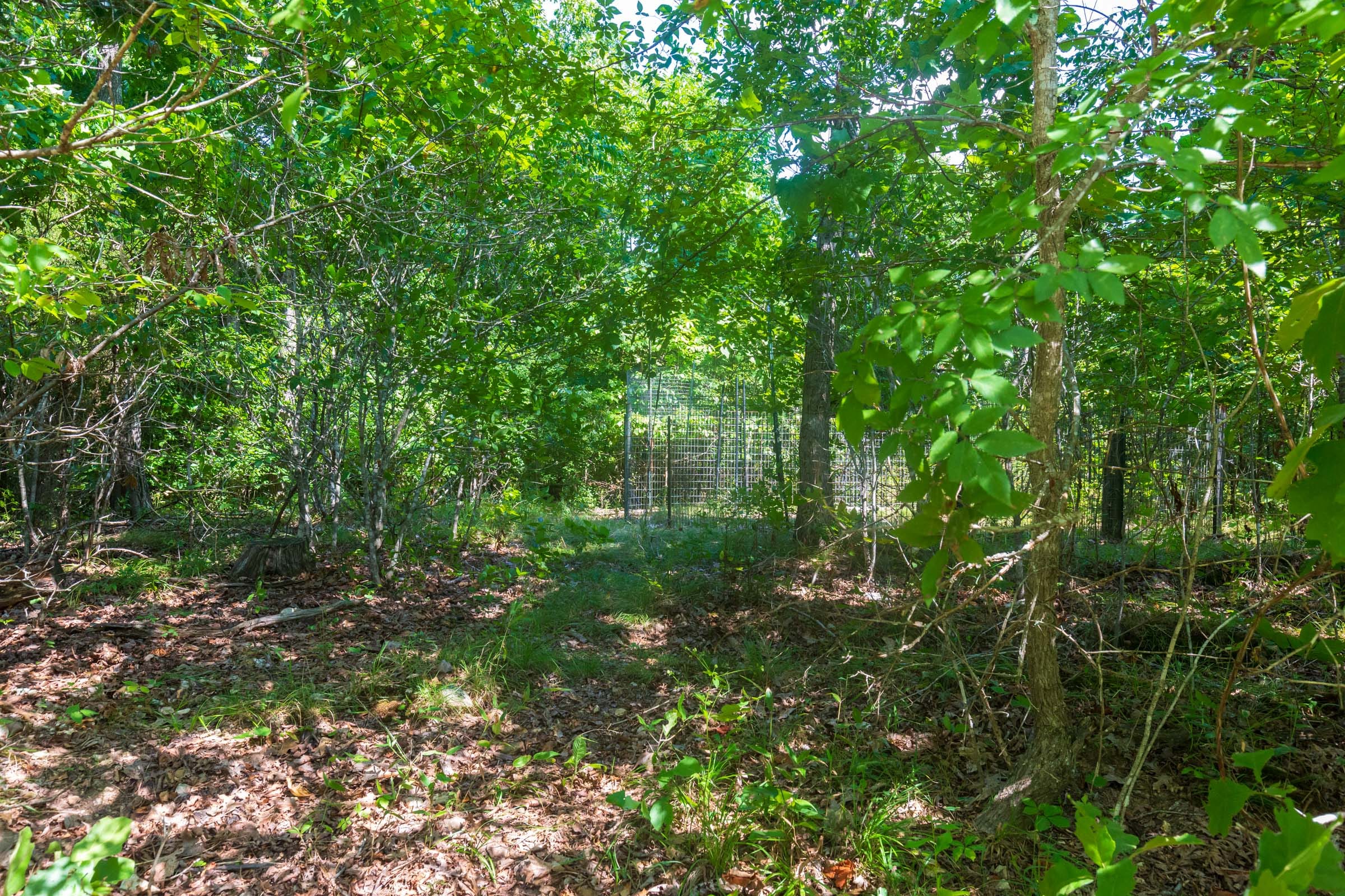 Cypress Ridge Tract 32 photo 3