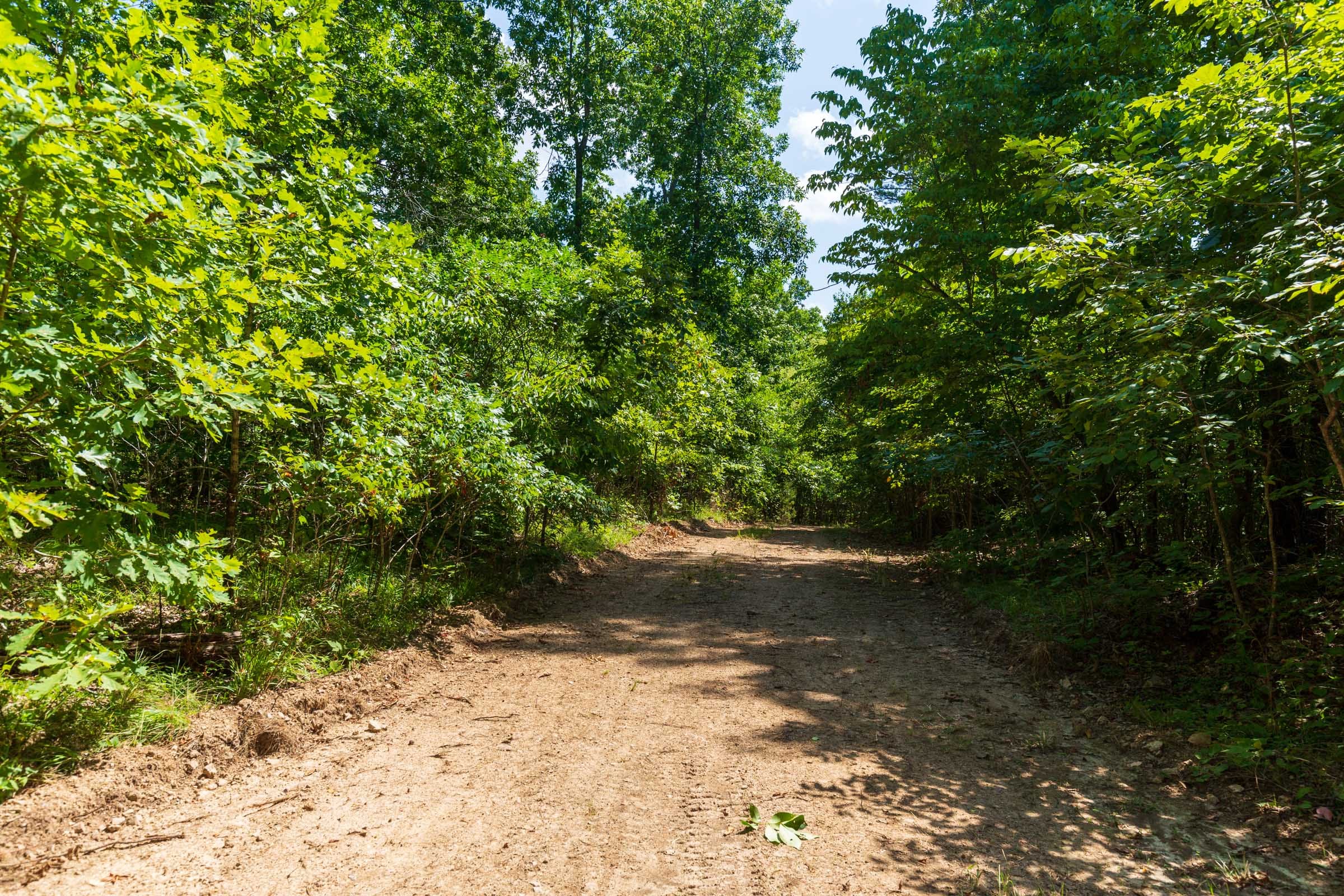 Cypress Ridge Tract 32 photo 6