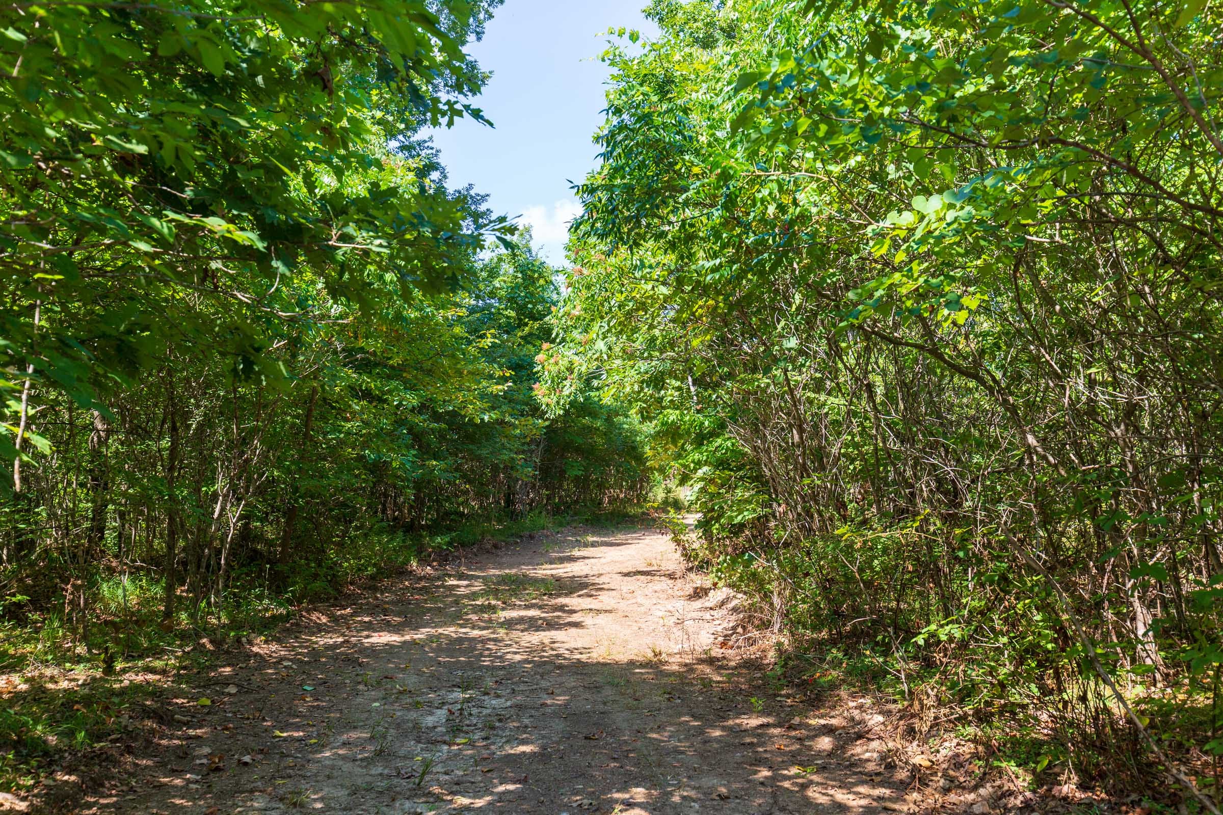 Cypress Ridge Tract 32 photo 7