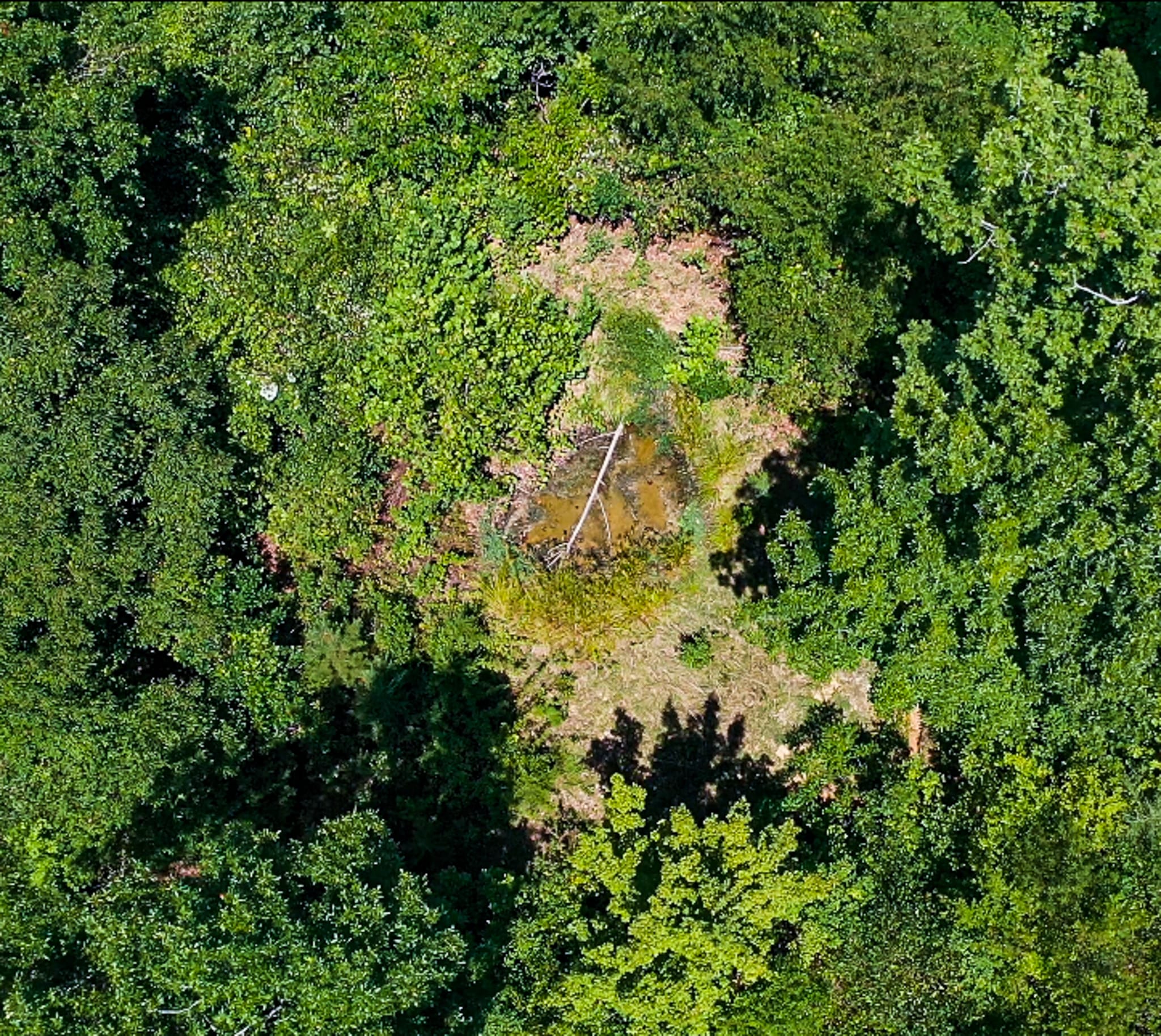 Cypress Ridge Tract 32 photo 11
