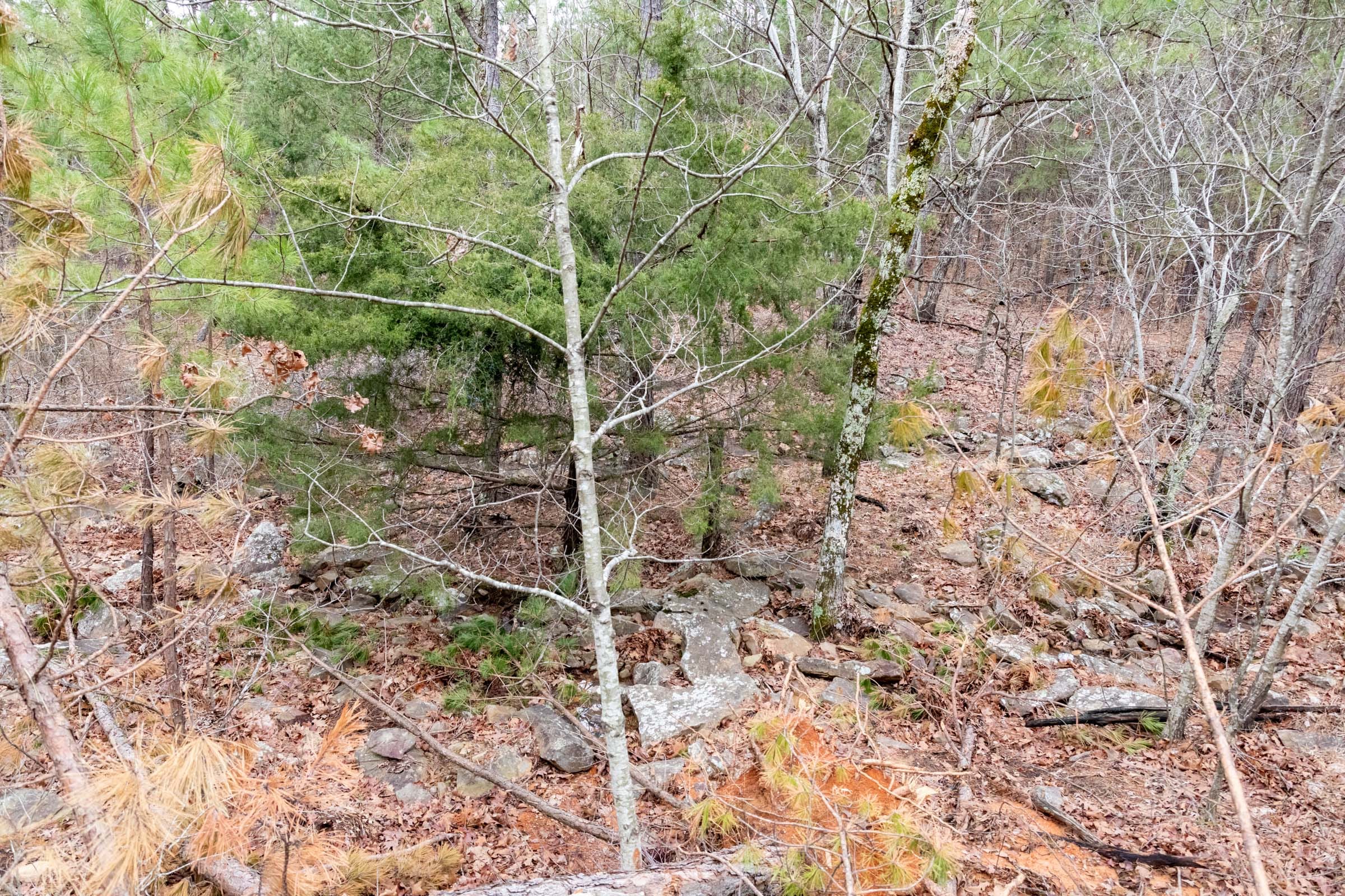 Stone Bridge Phase III Tract 206 photo 3